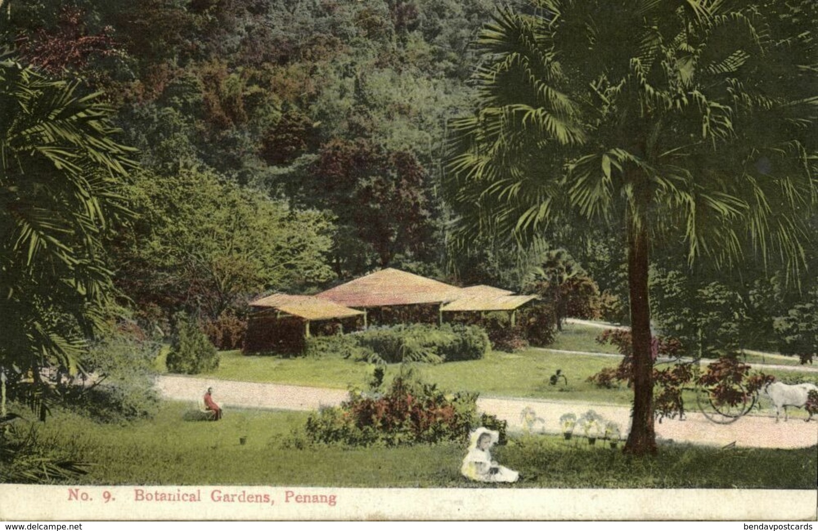 Straits Settlements, Malay Malaysia, PENANG, Botanical Gardens (1908) Postcard - Malaysia