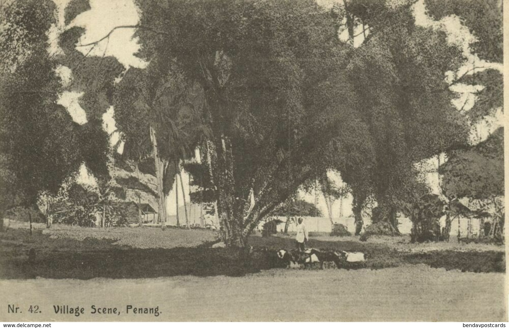 Malay Malaysia, PENANG, Village Scene (1910s) Postcard - Malasia