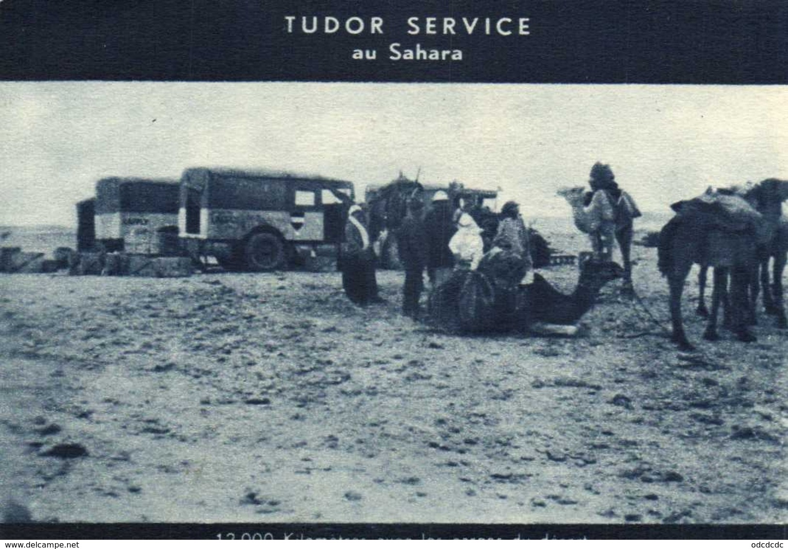 TUDOR SERVICE Au Sahara  Chameaux Voitures  12 000 Kilomètres Avec Les Cargos Du Desert RV - Andere & Zonder Classificatie