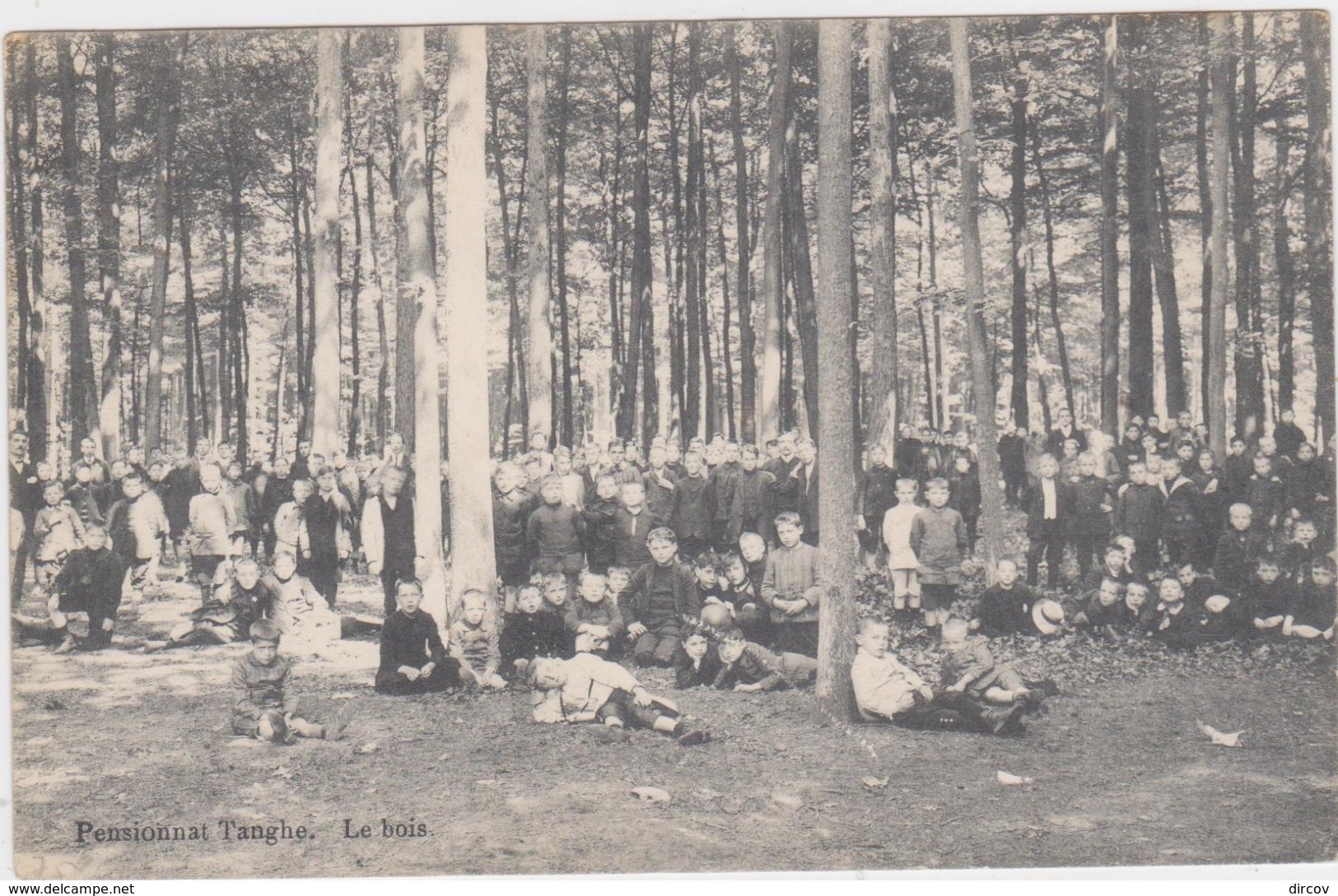 Buggenhout - Pensionaat Tanghe In Het Bos - Buggenhout