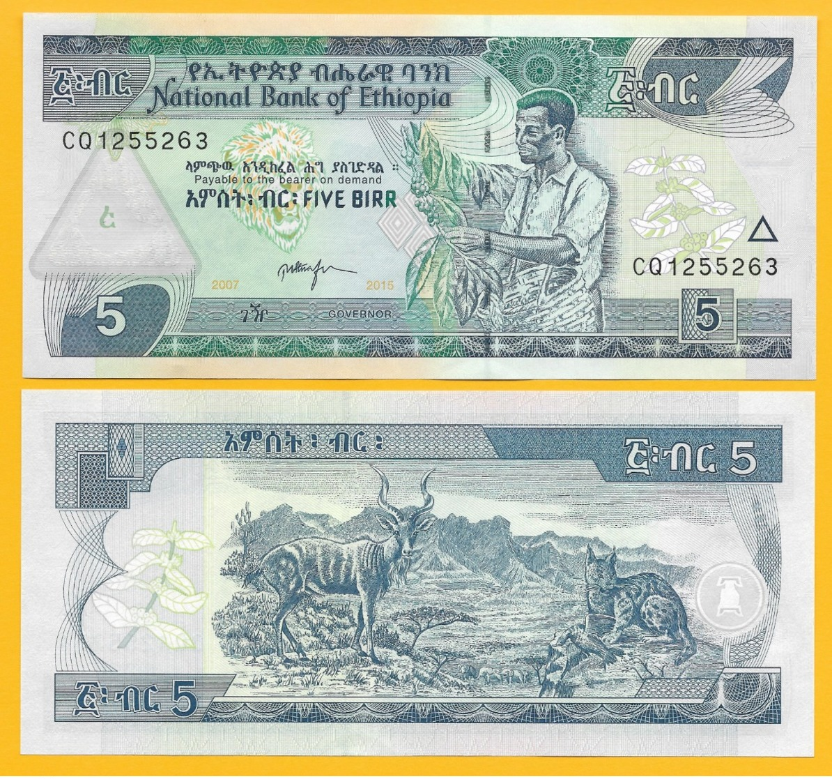 Ethiopia 5 Birr P-47g 2015 UNC - Ethiopië