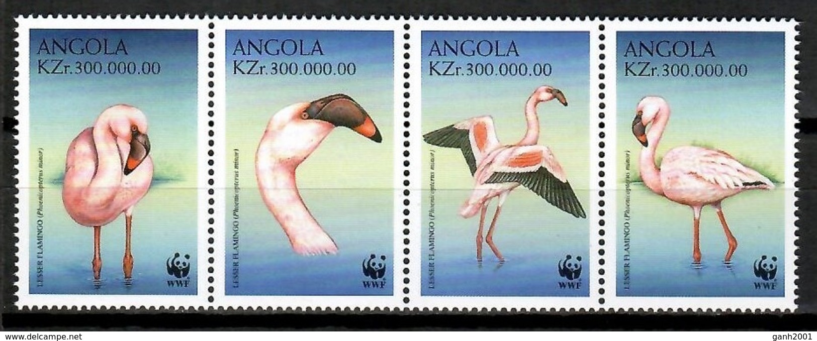 Angola 1999 / Birds WWF MNH Aves Vögel Oiseaux / Cu14538  36-33 - Otros & Sin Clasificación