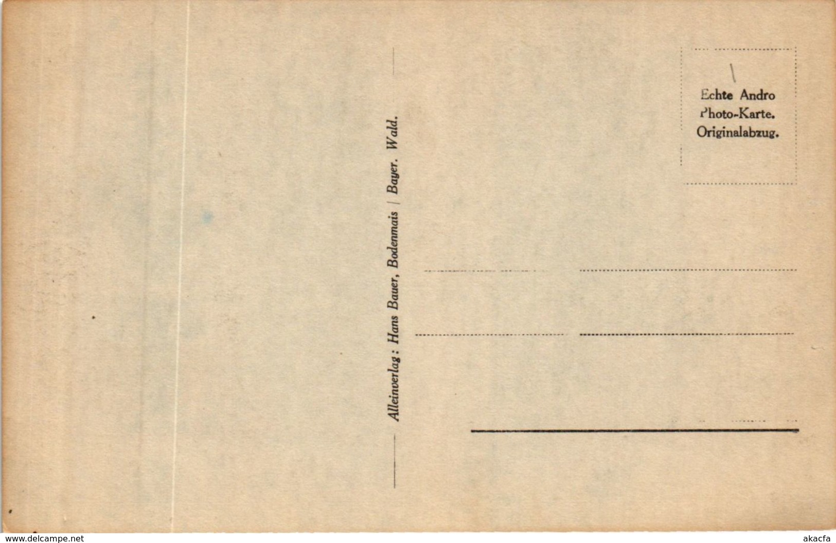 CPA AK Bodenmais Totalansicht GERMANY (892462) - Bodenmais