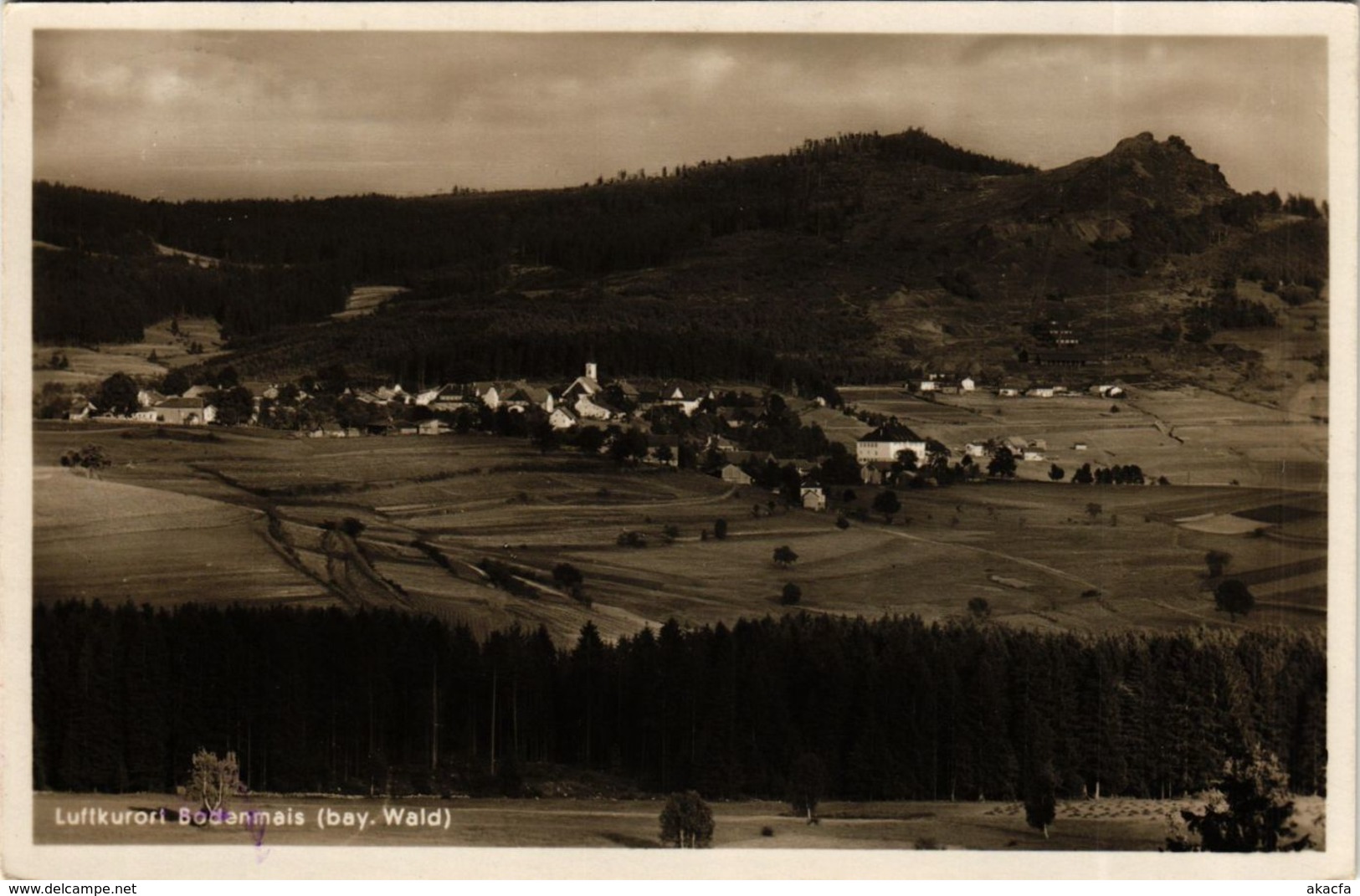 CPA AK Bodenmais Luftkurort GERMANY (892463) - Bodenmais