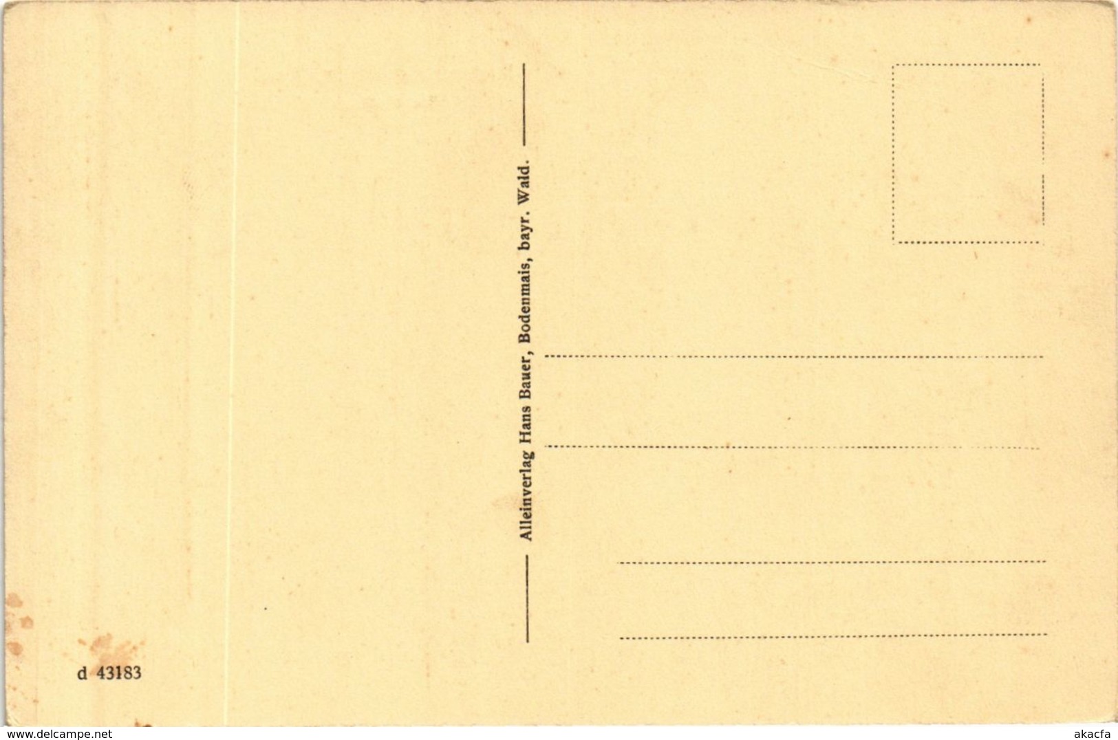 CPA AK Bodenmais Waldlerhaus GERMANY (892484) - Bodenmais