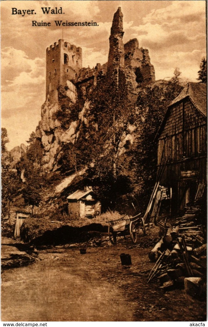 CPA AK Regen Ruine Weissenstein GERMANY (892523) - Regen