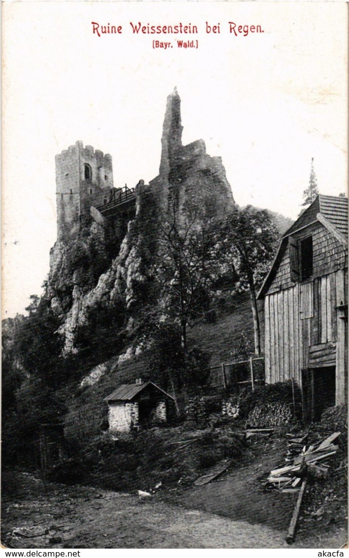 CPA AK Regen Ruine Weissenstein GERMANY (892524) - Regen