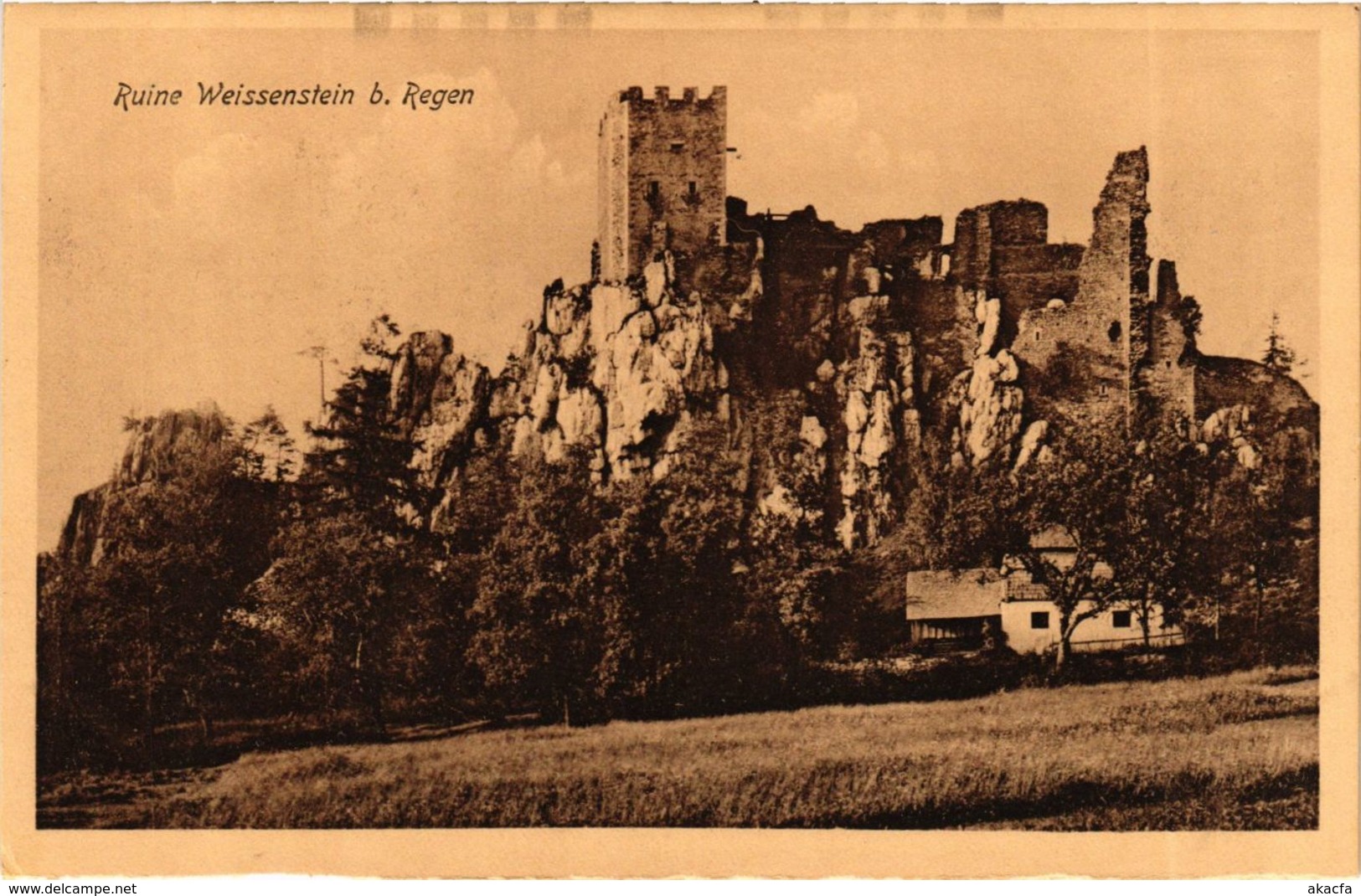 CPA AK Regen Ruine Weissenstein GERMANY (892547) - Regen