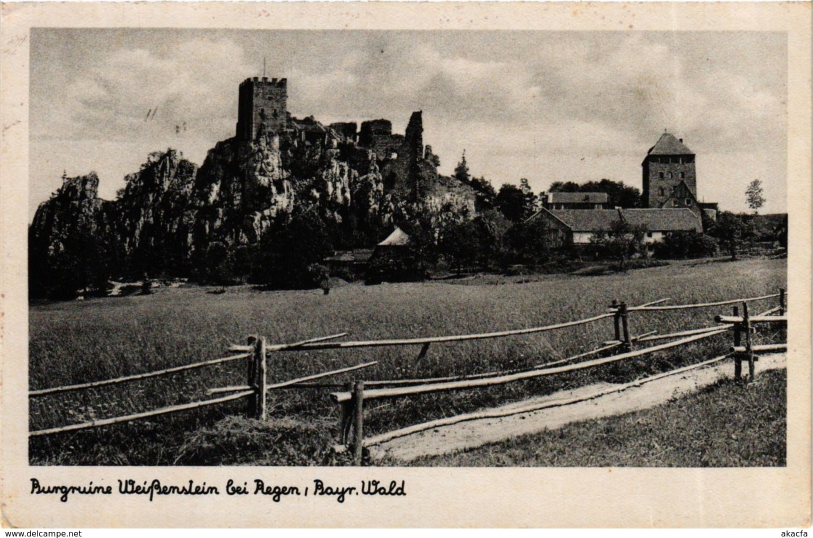 CPA AK Regen Burgruine Weissenstein GERMANY (892557) - Regen