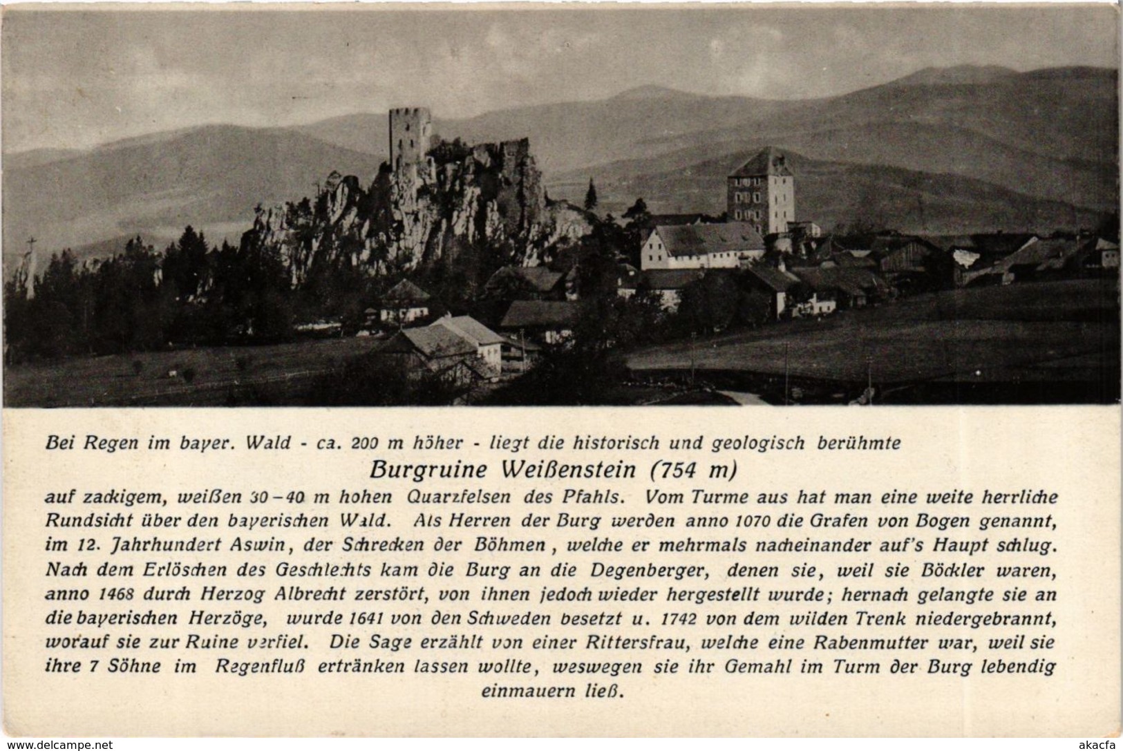 CPA AK Regen Burgruine Weissenstein GERMANY (892558) - Regen