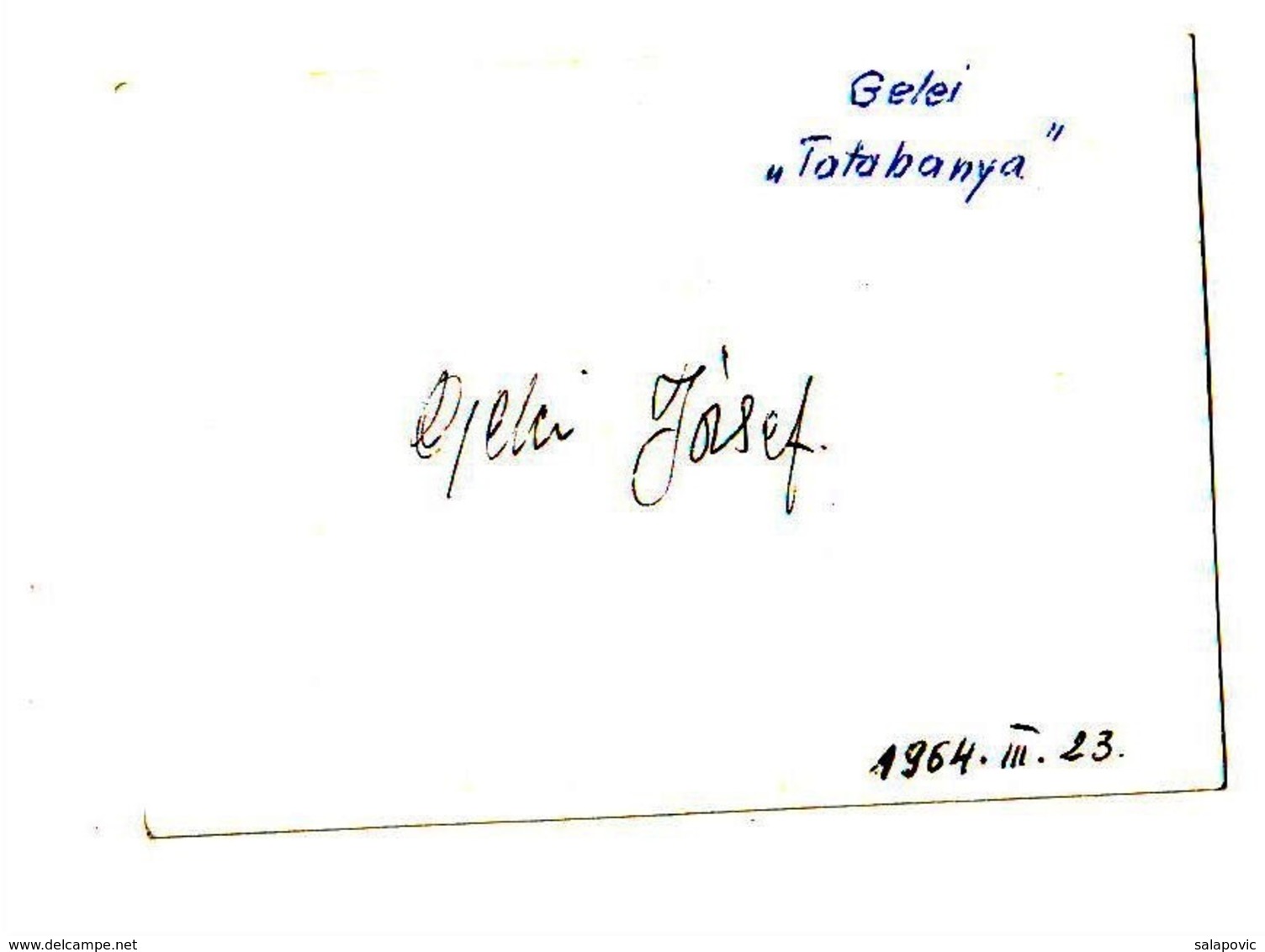 FC Tatabánya, József Gelei  FOOTBALL CALCIO, Authograph - Autographes