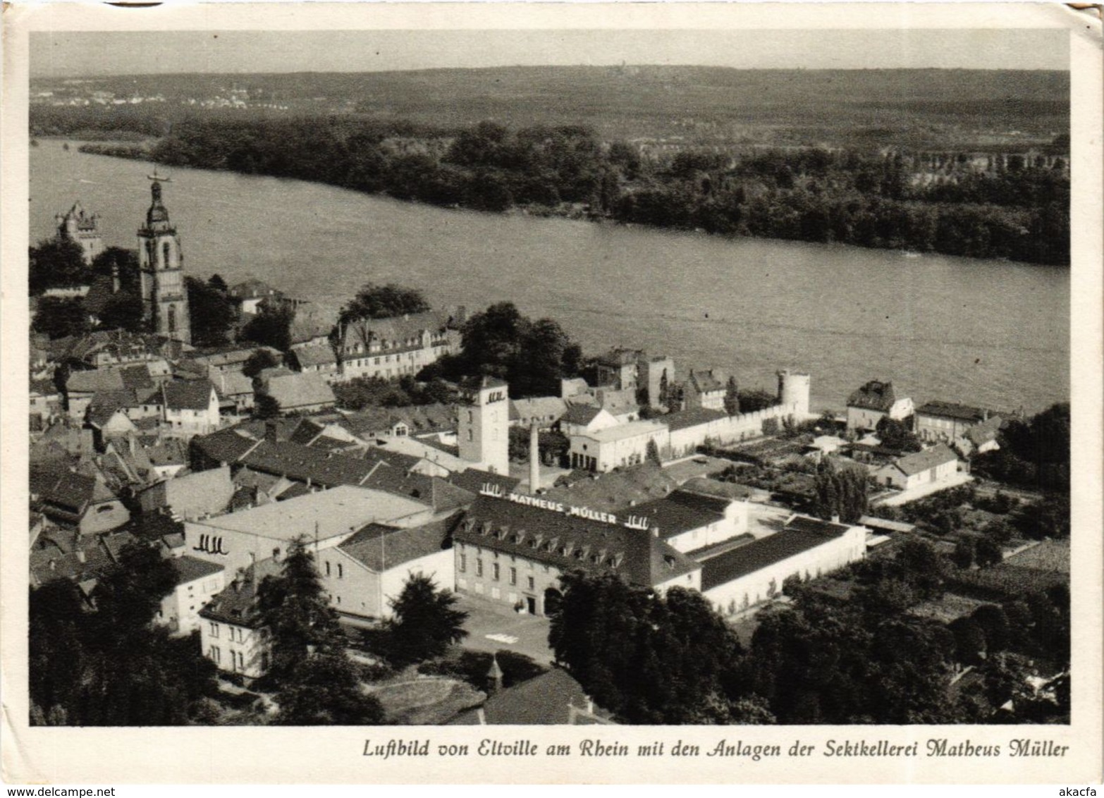 CPA AK Eltville Am Rhein - Luftbild - Sektkellerei Matheus M. GERMANY (859639) - Eltville