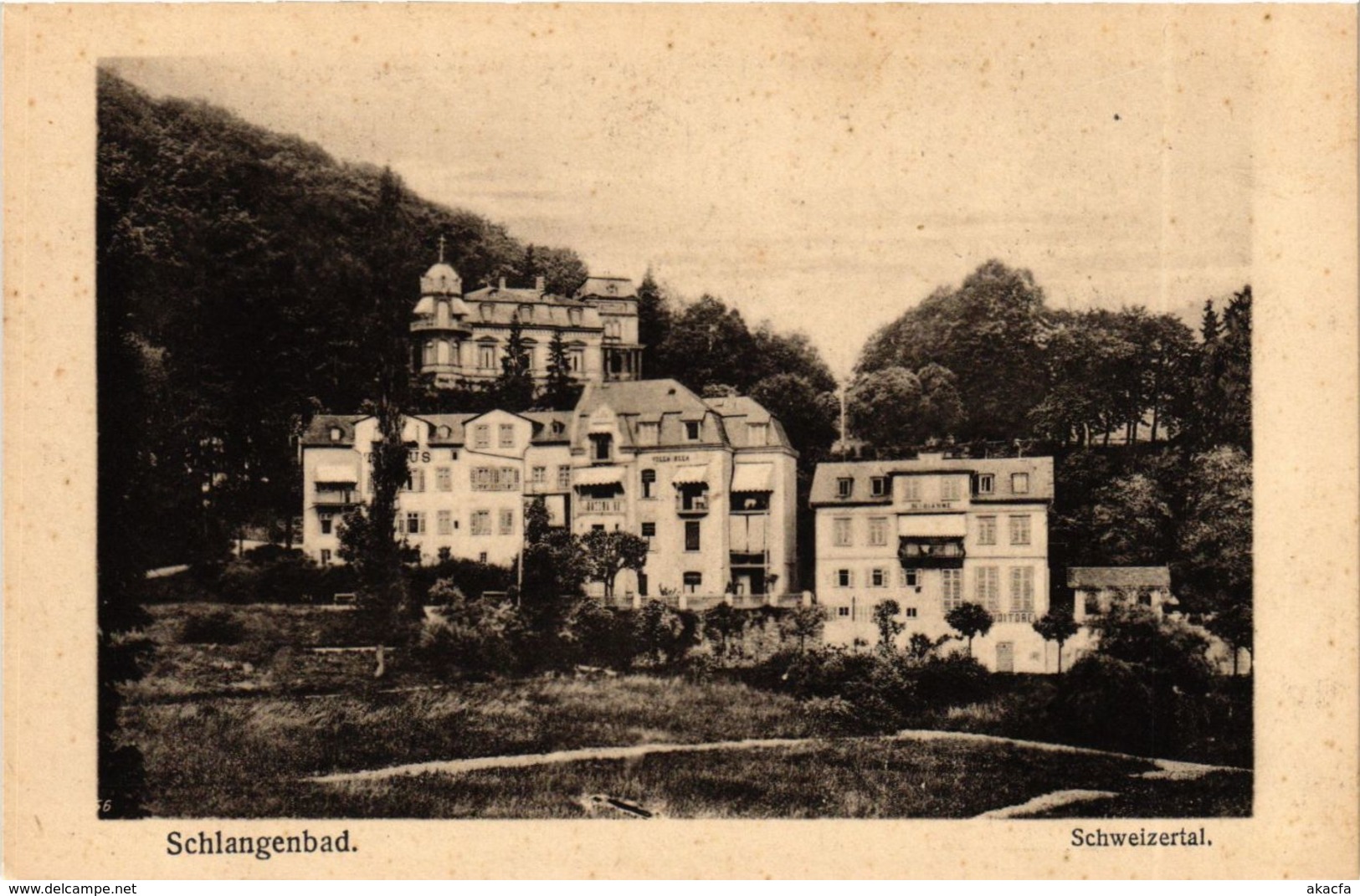 CPA AK Schlangenbad - Schweizertal GERMANY (859662) - Schlangenbad