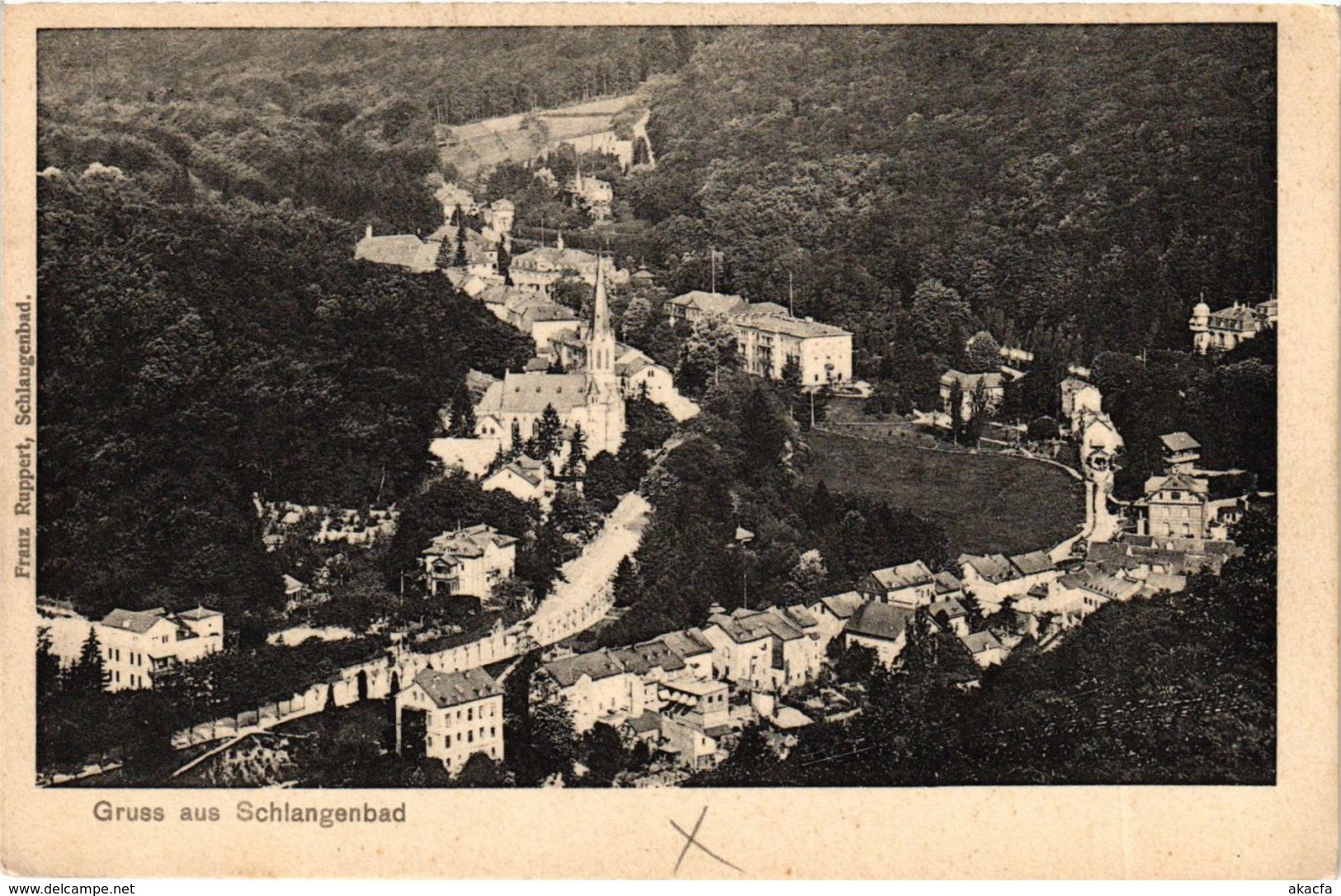 CPA AK Schlangenbad - Totalansicht GERMANY (859671) - Schlangenbad