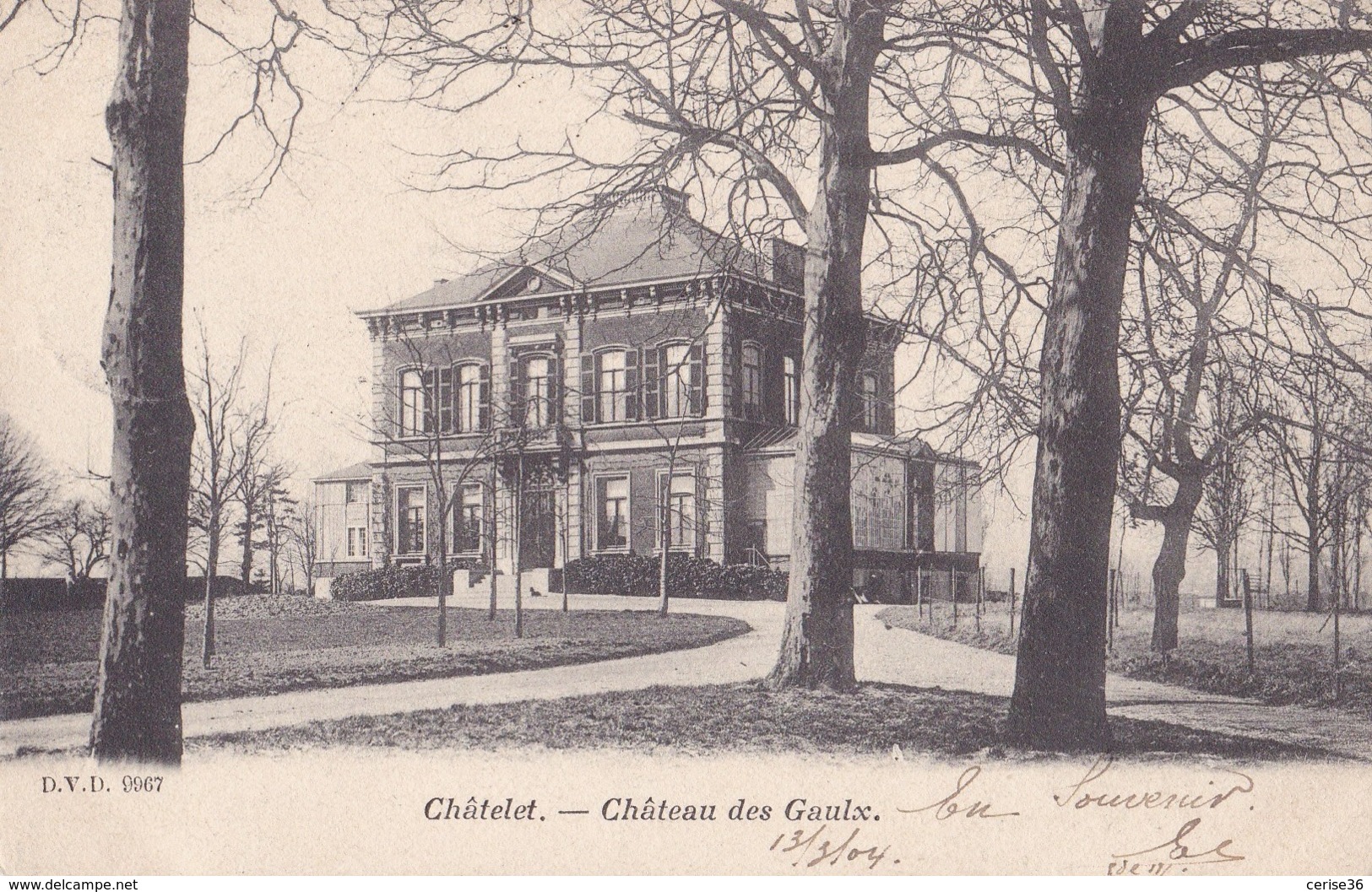 Châtelet Château Des Gaulx D.V.D 9967 Circulée En 1904 - Châtelet