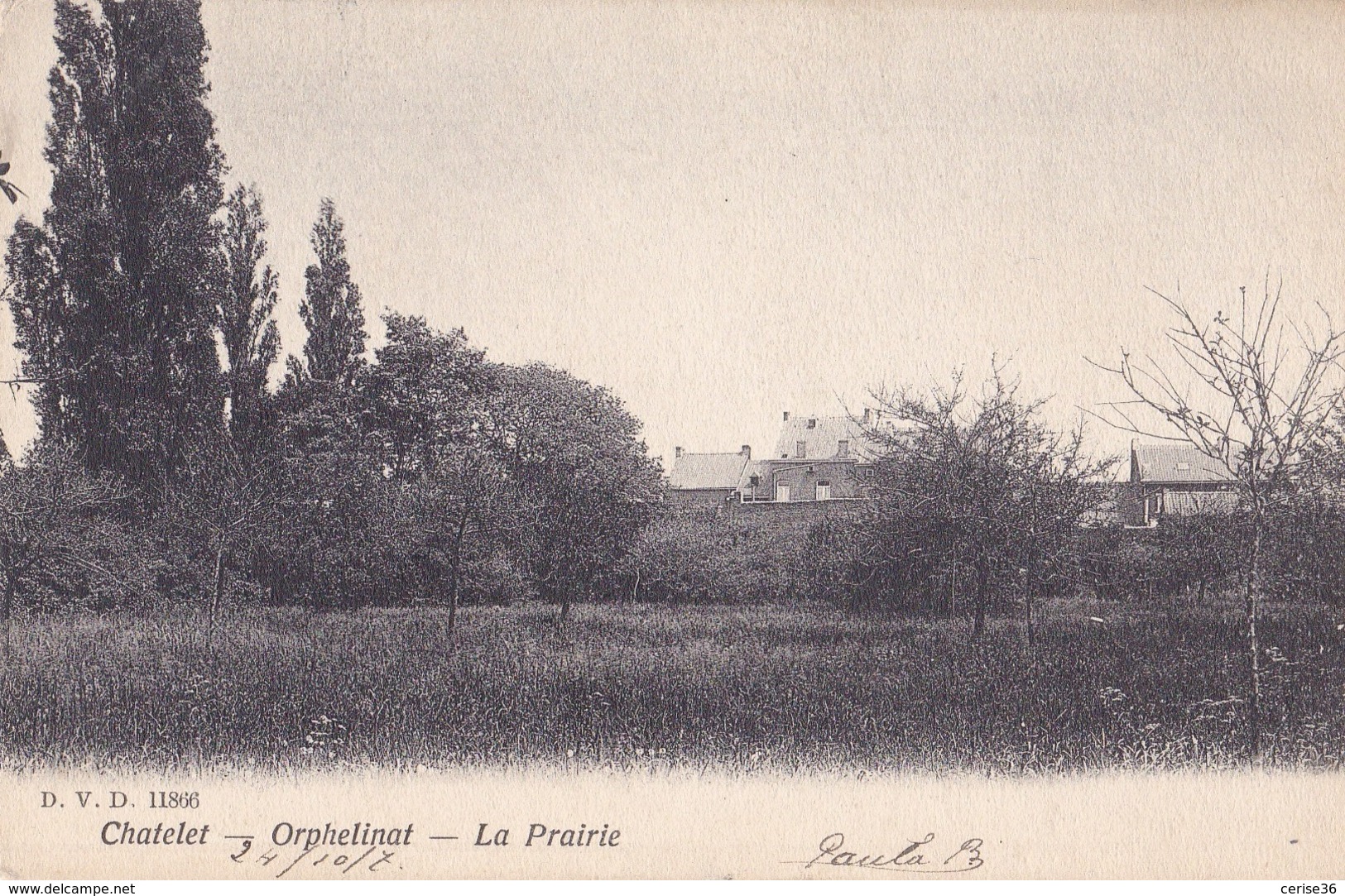 Châtelet  Orphelinat La Prairie D.V.D 11806 Circulée En 1904 - Chatelet