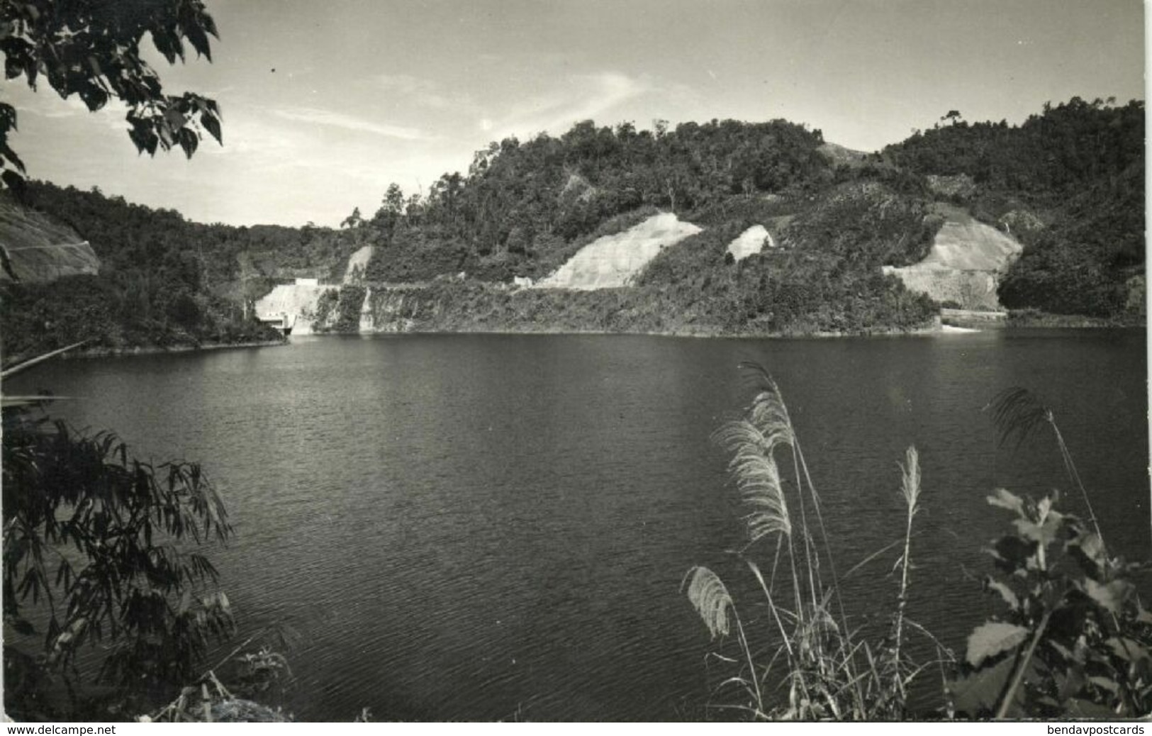 Malay Malaysia, PAHANG, Cameron Highlands, Panorama (1960s) RPPC Postcard - Malaysia