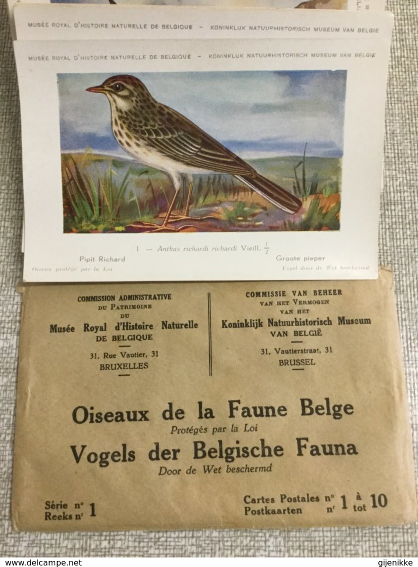 300 Postkaarten .Vogels Der Belgische Fauna / Oiseaux De La Faune Belge N° 1 Tot N° 300. Dupond Hub. - Oiseaux