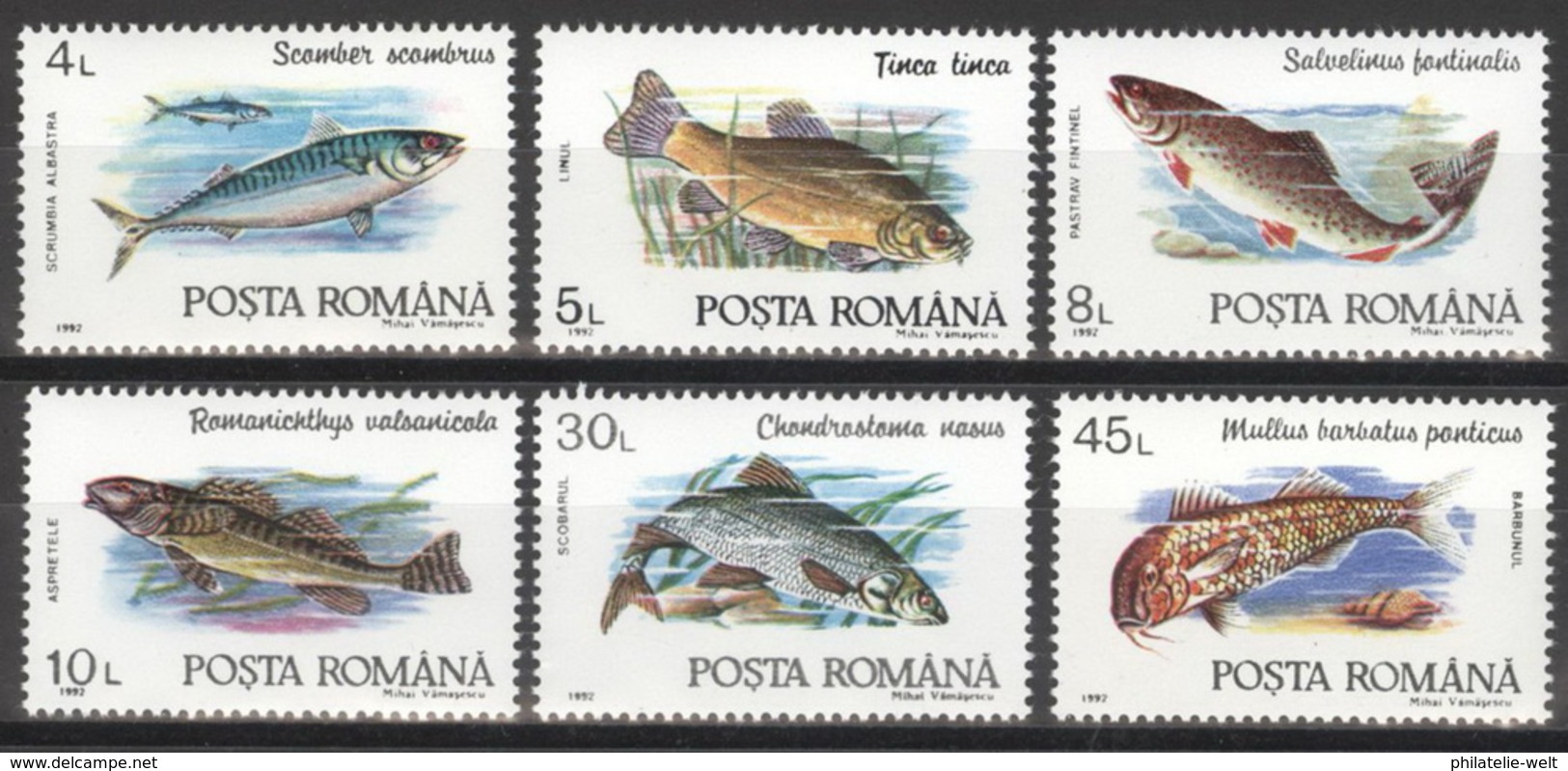 Rumänien 4776/81 ** Postfrisch Fische - Ungebraucht