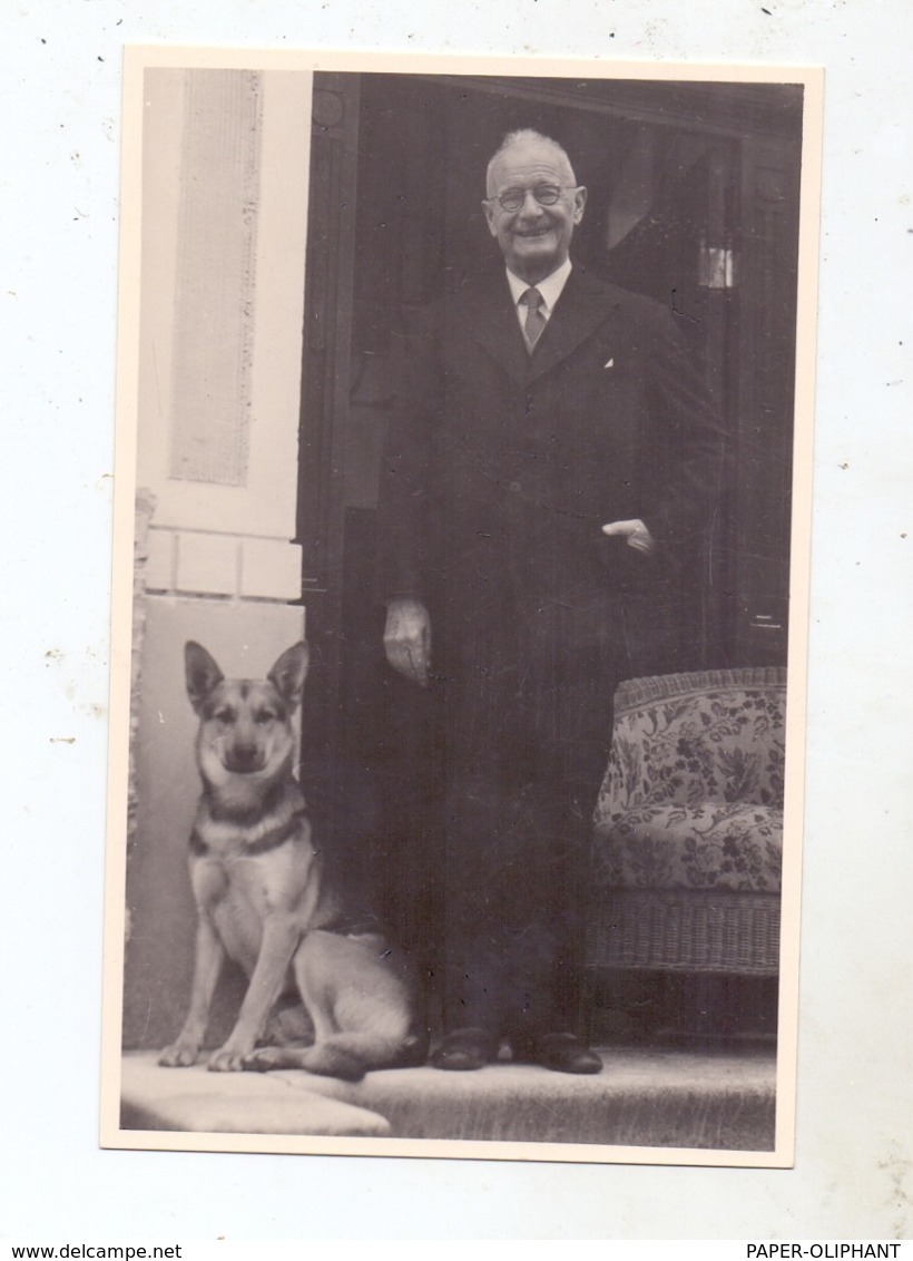 HUNDE - SCHÄFERHUND / Sheperd Dog, Chien De Berge / Herdershond, Photo-AK 1952 - Hunde