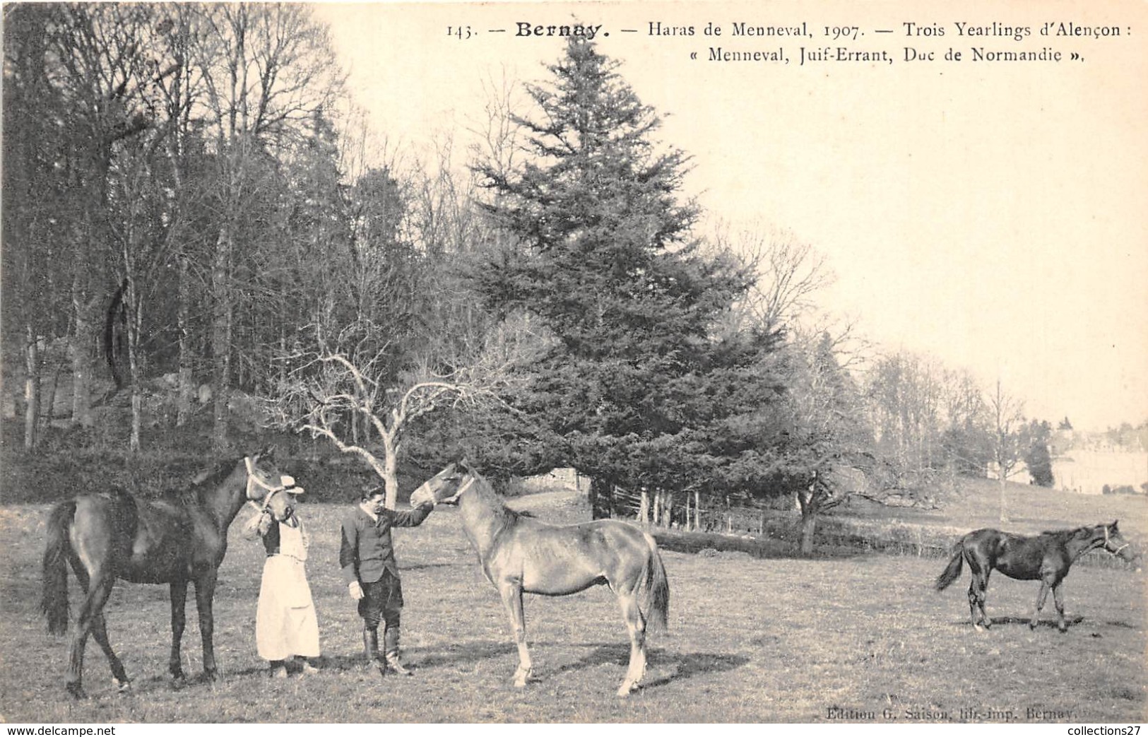 27-BERNAY- HARAS DE MENNEVAL1907 , TROIS YEARLINGS D'ALENCON- MENNEVAL, JUIF-ERRANT, DUC DE NORMANDIE - Bernay