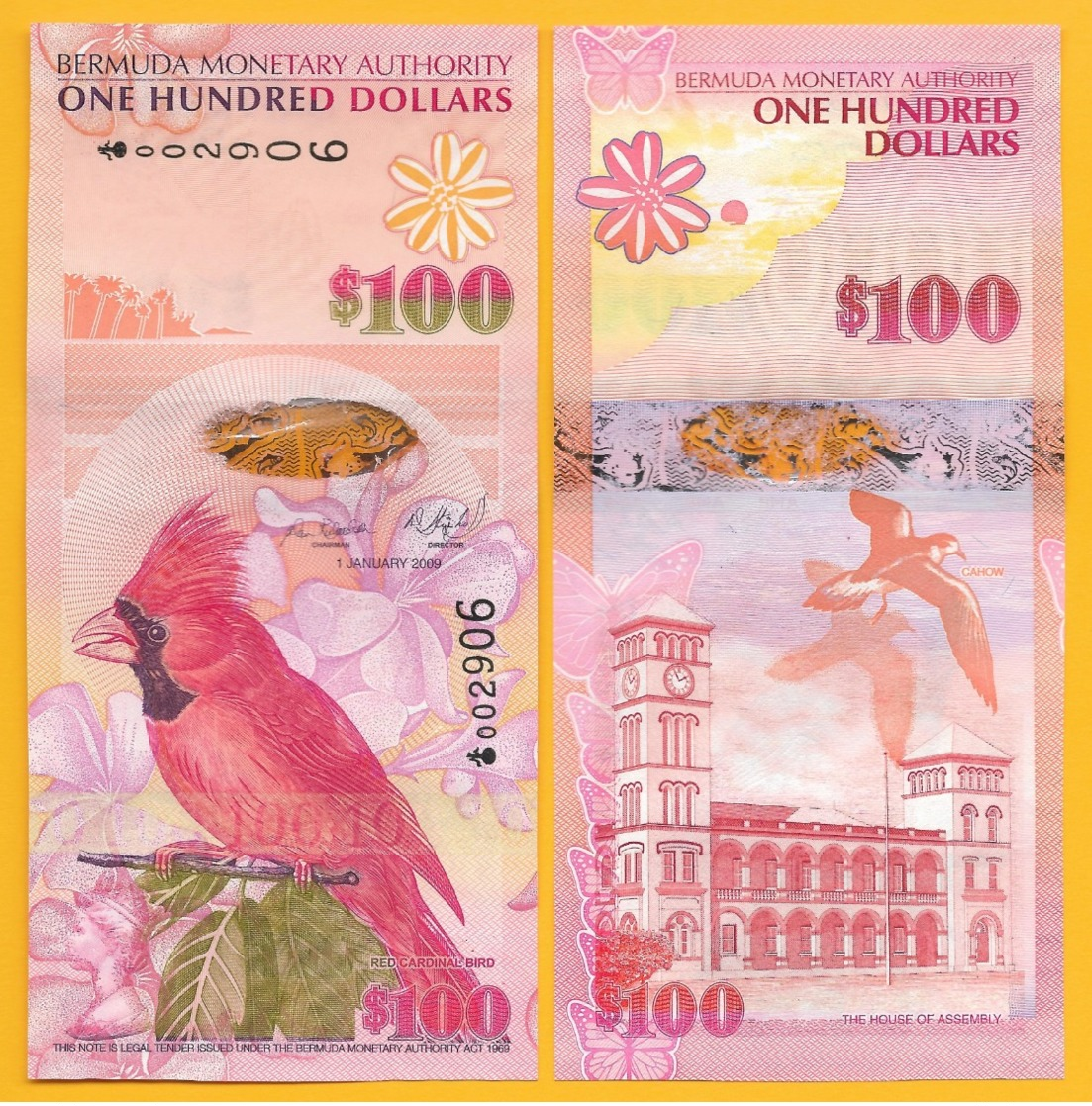 Bermuda 100 Dollars P-62 2009 UNC Banknote - Bermudas