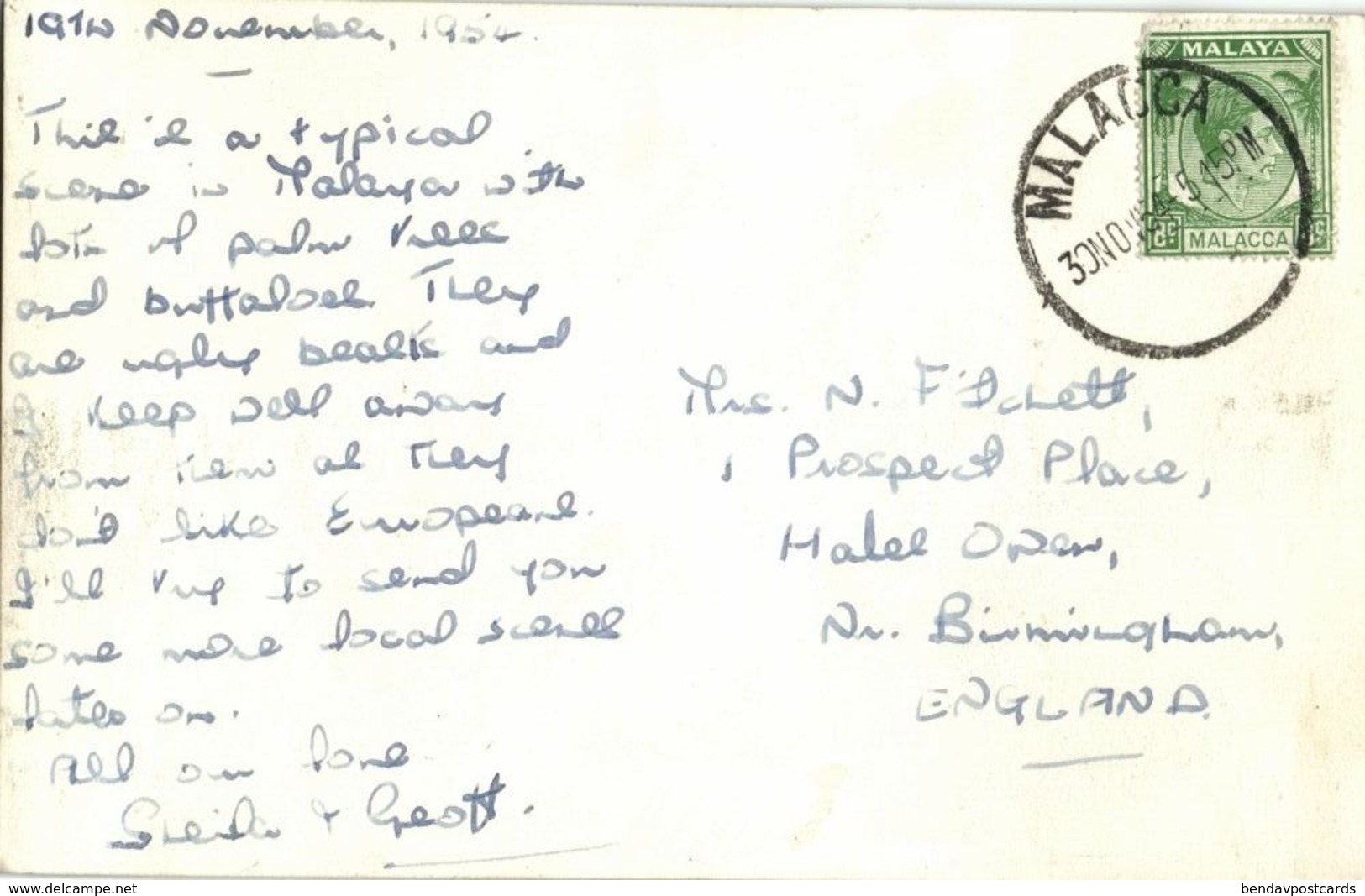 Malay Malaysia, MALACCA, Ploughing Padi Field, Ox Cart (1954) RPPC Postcard - Malaysia