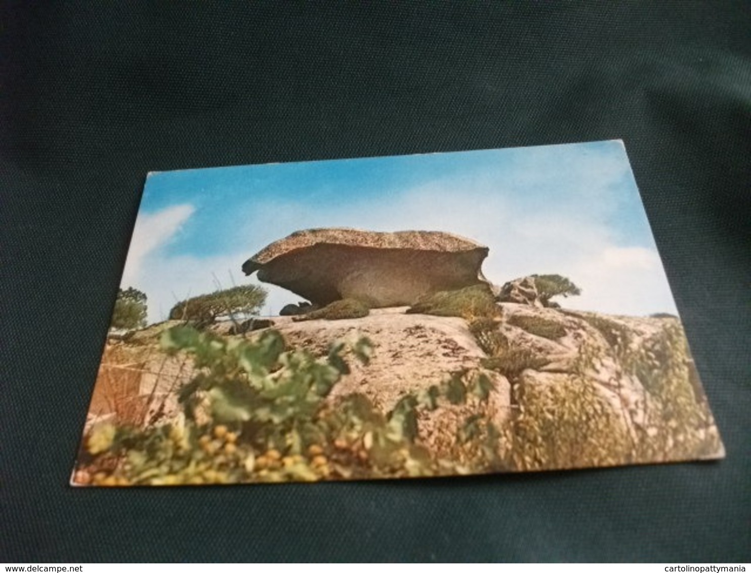 IL FUNGO  THE MUSHROOM STONE LE ROCHER CHAMPIGNON DAS PILZGESTEIN SARDEGNA ARZACHENA - Pilze