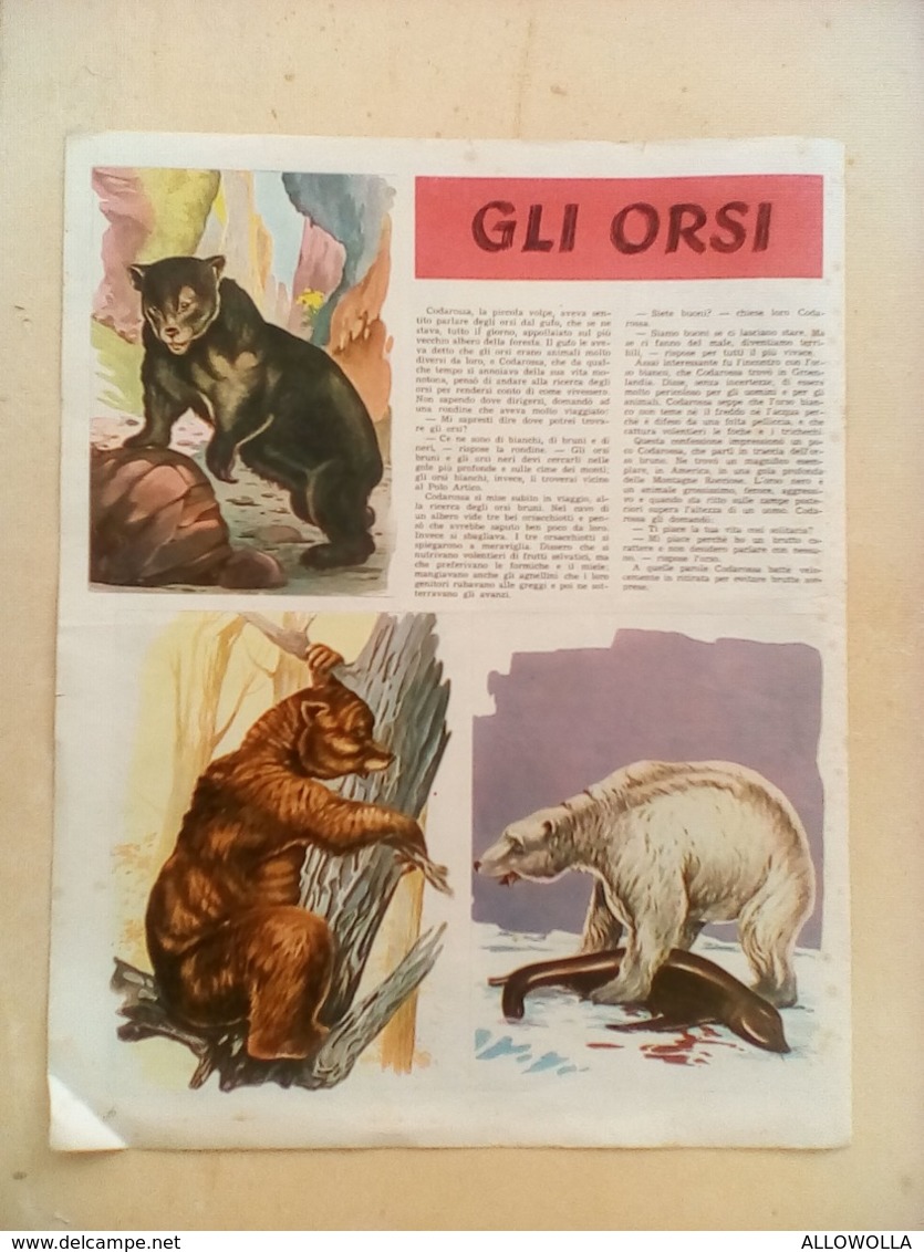 5191 " LA DOMENICA DEI PICCOLI-SUPPL. GRATUITO ALLA DOMENICA DEI RAGAZZI-N°14" 8 PAG. - Altri & Non Classificati