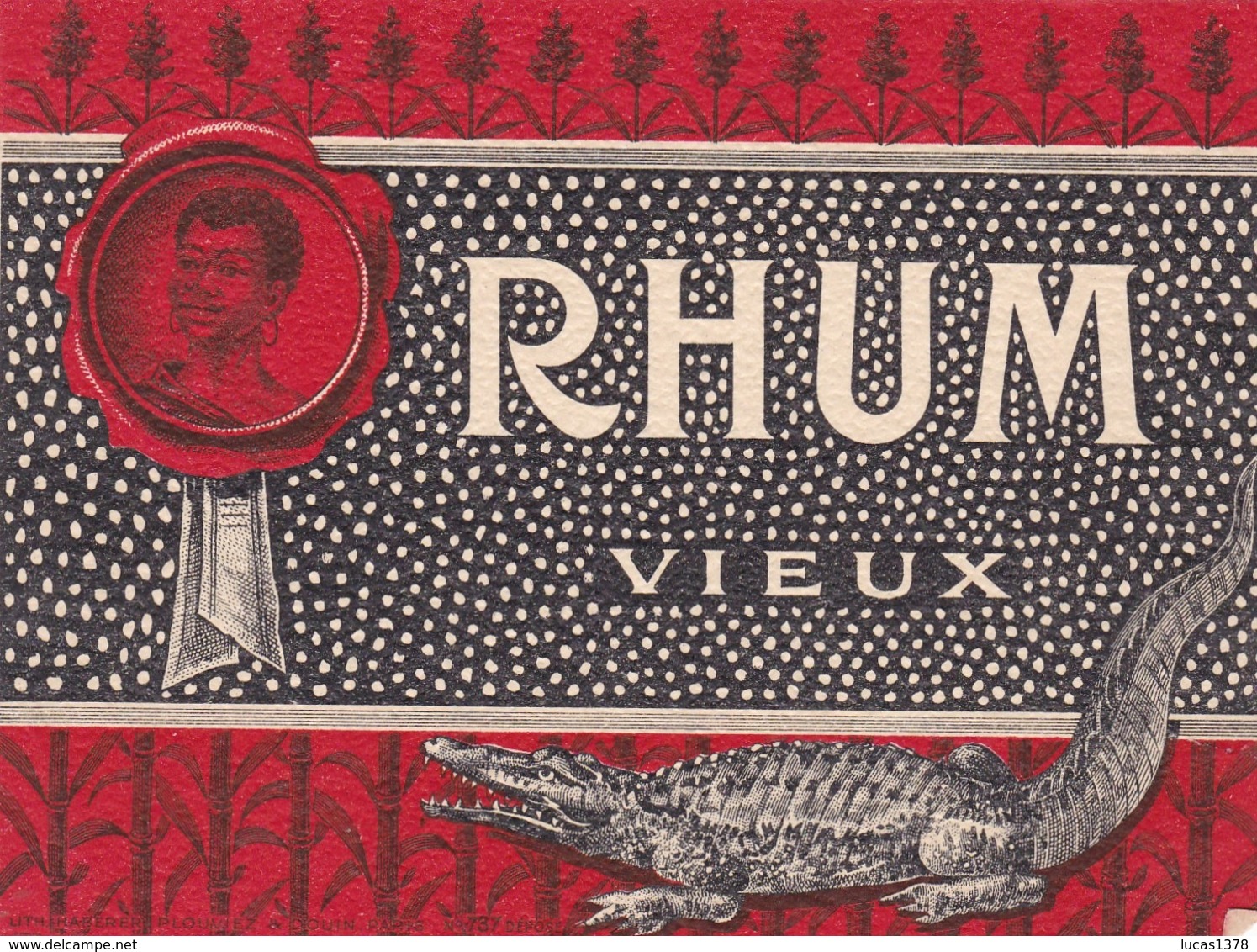 VIEUX RHUM / CROCODILE / - Rhum