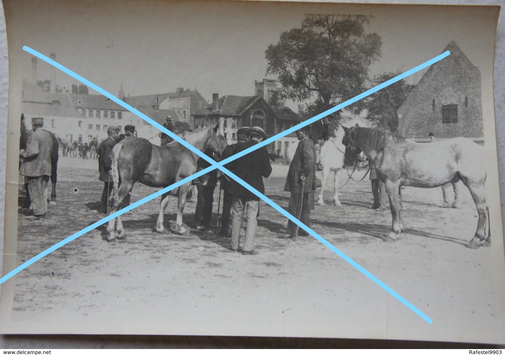 Photo SAINT OMER ? Marché Aux Chevaux Cheval Paard Horse Fin 19èmes Début 20ème S - Lieux