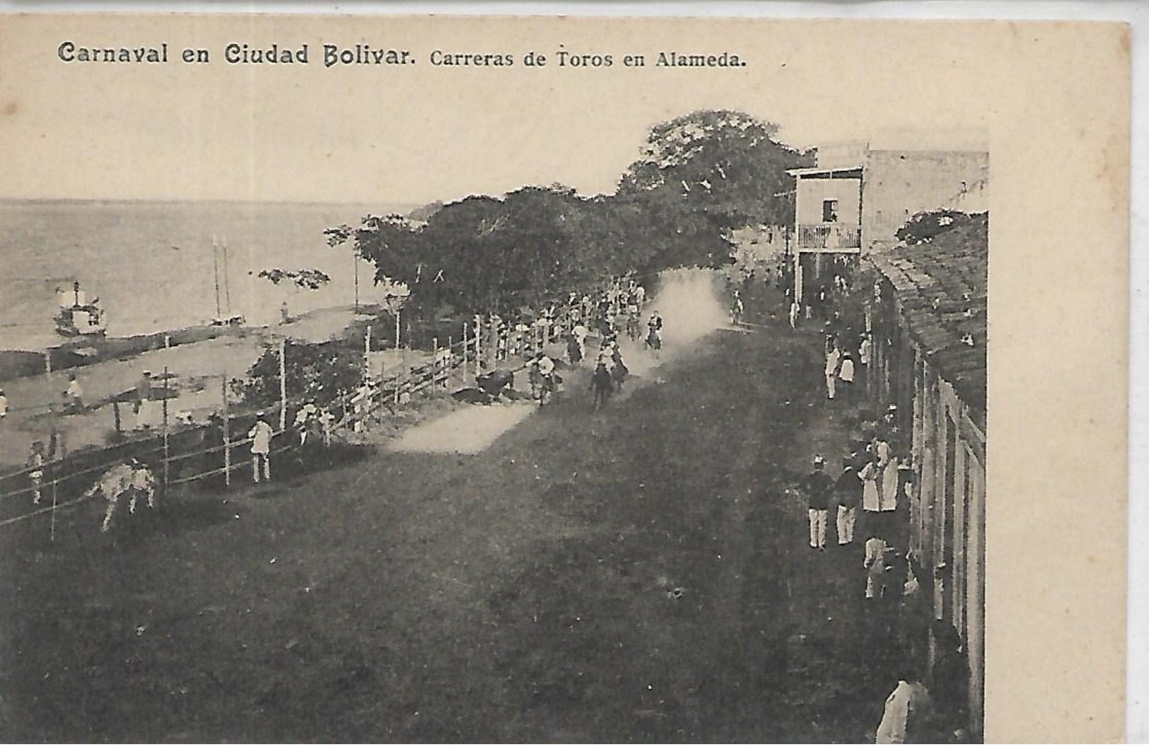 Bolivie, CARNAVAL EN CIUDAD BOLIVAR, Carreras De Toros En Alameda, Scan Recto Verso - Bolivie