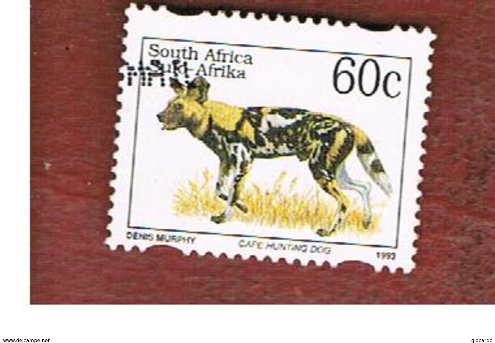 SUD AFRICA (SOUTH AFRICA) - SG 915 - 1997   ENDANGERED ANIMALS: LYCAON PICTUS (NAME IN ENGLISH LANGUAGE)  - USED - Usati