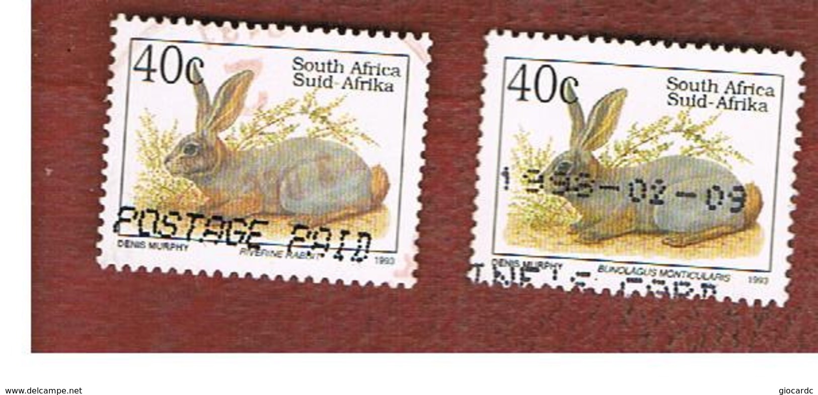 SUD AFRICA (SOUTH AFRICA) - SG 809.809c - 1993 ENDANGERED ANIMALS: RABBIT  (WITH NAME IN  2 DIFFERENT  LANGUAGE)  - USED - Oblitérés