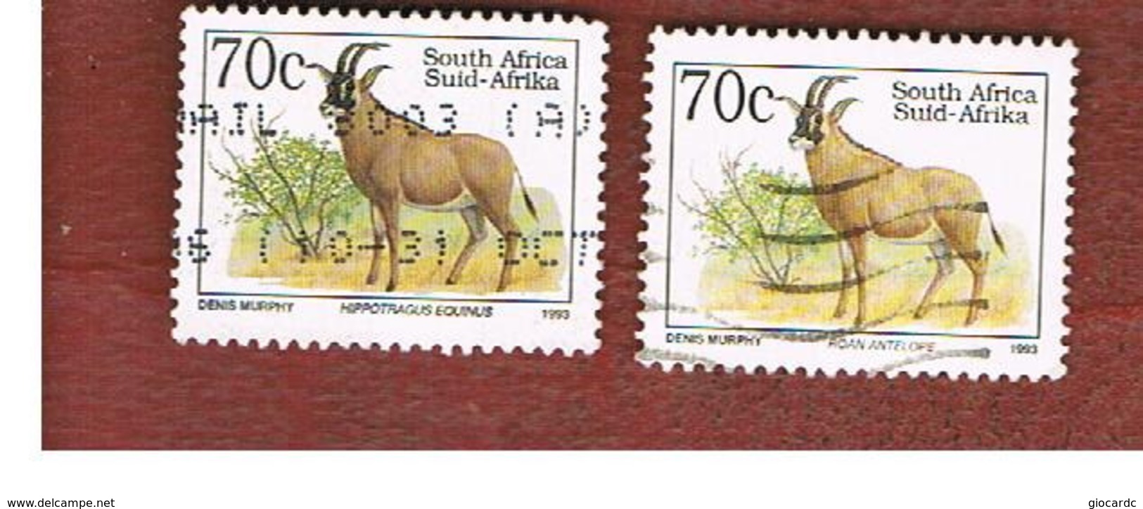 SUD AFRICA (SOUTH AFRICA) - SG 813.813c - 1993 ENDANGERED ANIMALS: ROAN ANTELOPE  (NAME IN  2 DIFFERENT LANGUAGE) - USED - Usati