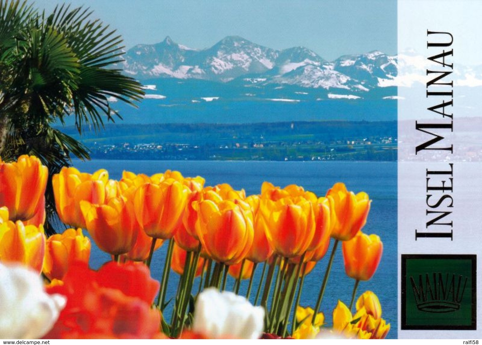 1 AK Germany Baden-Württemberg * Tulpenblüte Auf Der Insel Mainau * - Konstanz