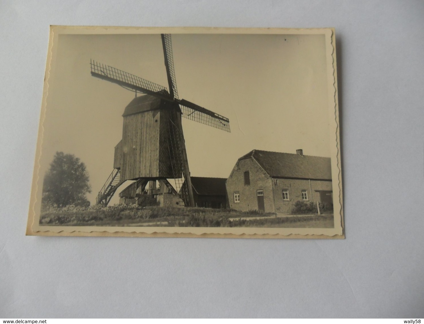 Langemark Foto Molen - Langemark-Poelkapelle