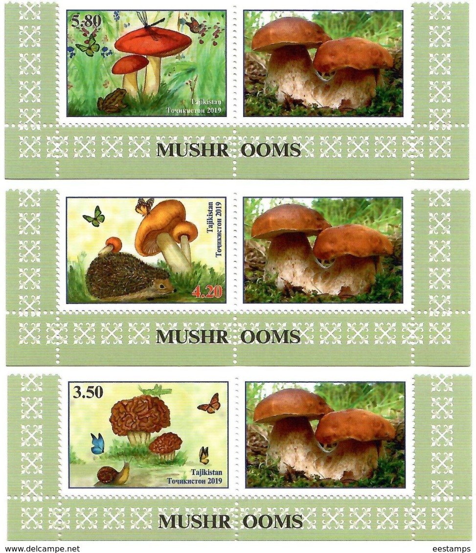 Tajikistan 2019.  Mushrooms(Butterflies,Hedgehog,Frog).3v:3.50,4.20,5.80 + Label - Tagikistan