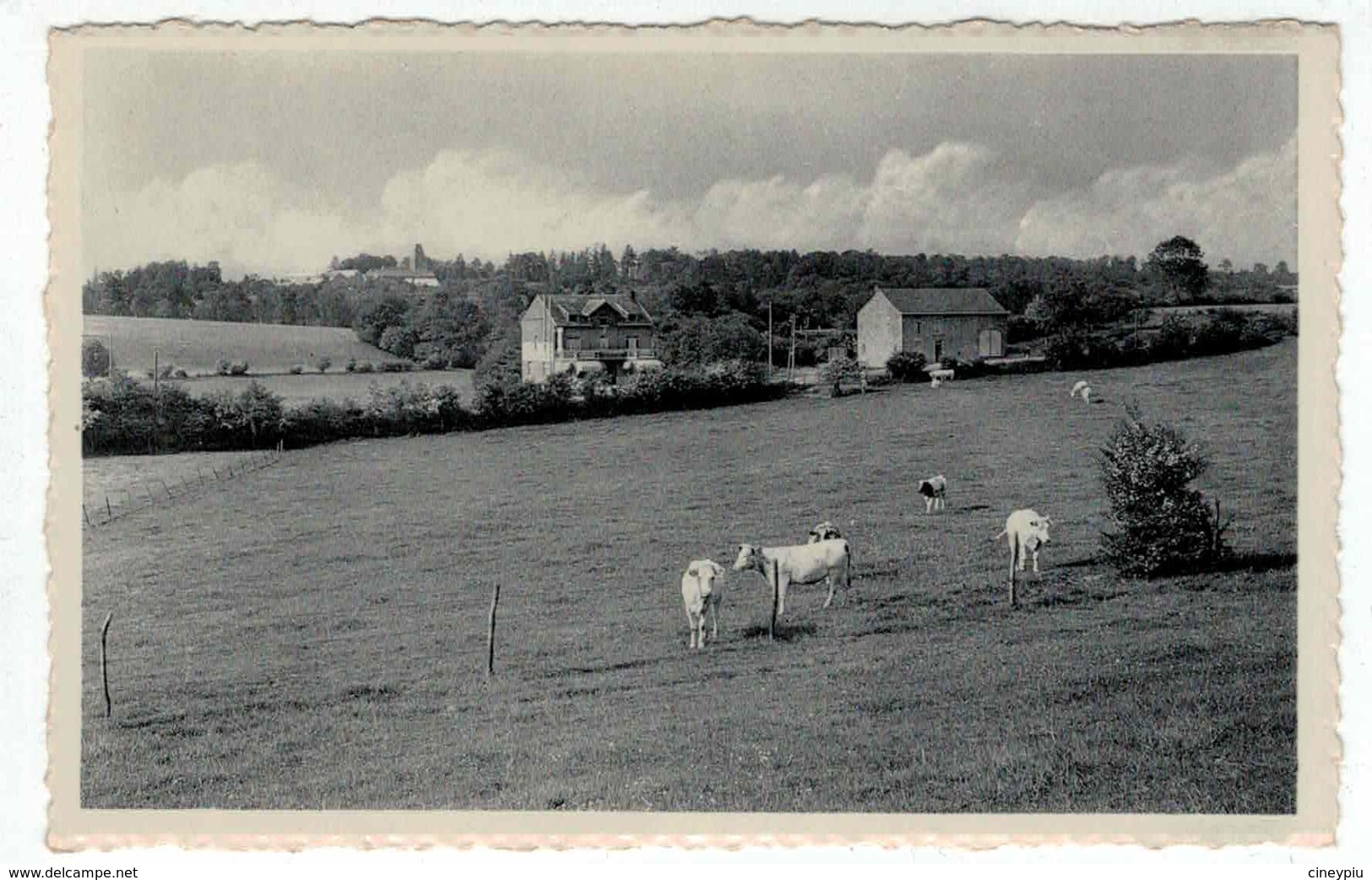 Havelange - Méan - Ed. Roumache Arsène - L'Hôtel - Nels - Havelange