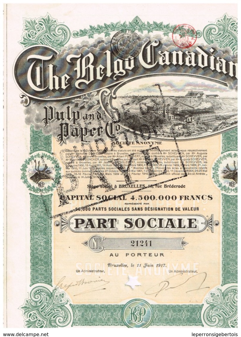 Titre Ancien - The Belgo Canadian Pulp And Paper - Titre De 1917 -  N° 21241 - Déco - Industrie