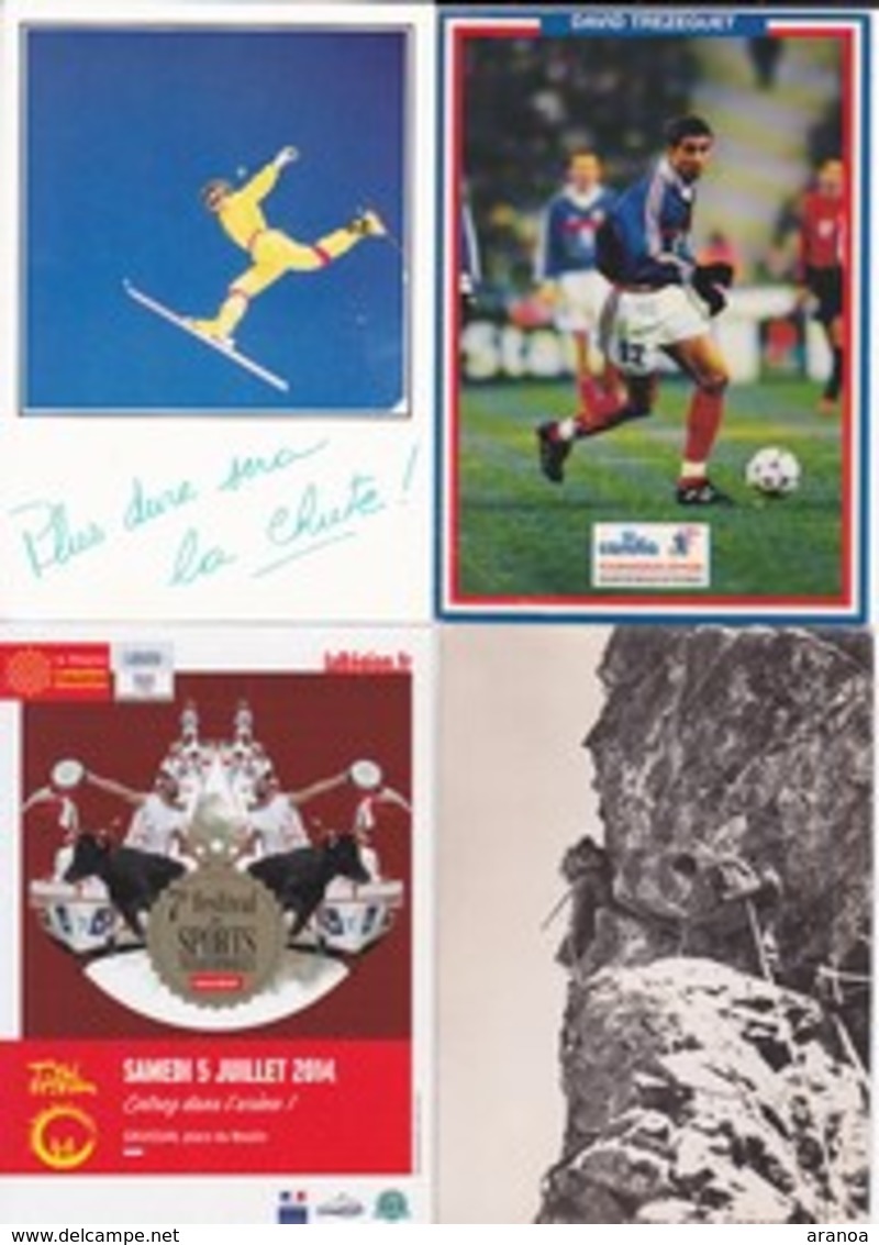 Sports -- Lot de 79 cartes