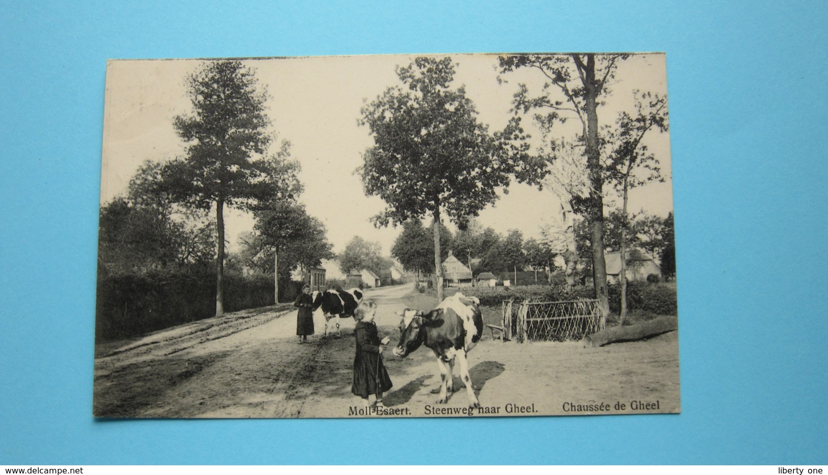 Moll-Esaert Steenweg Naar GHEEL Chaussée De ( J. Havermans-Bakelants ) Anno 19?? ( Zie Foto Details ) ! - Mol