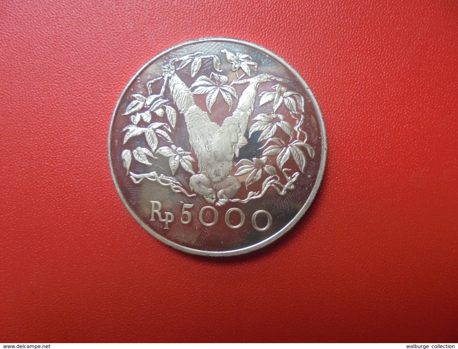 INDONESIE 5000 RUPEES 1974 ARGENT 925/000 "PROOF" (A.10) - Indonesia