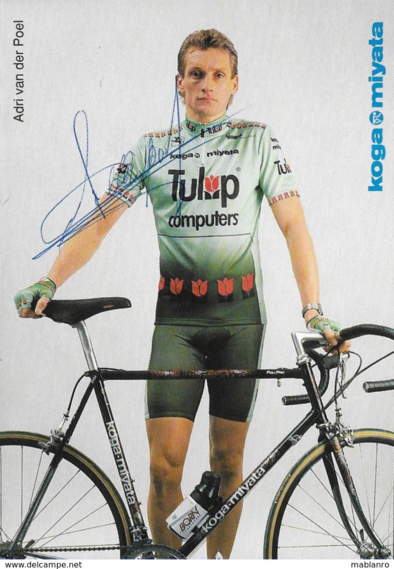 CARTE CYCLISME ADRI VAN DER POEL SIGNEE TEAM TULIP 1991 PUBLICITE KOGA MIYATA - Cyclisme