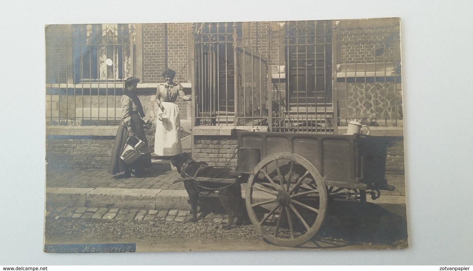 NAMUR - LATIERE NAMUROISE - ATTELAGE DE CHIENS - CARTE PHOTO 1908 - Namur