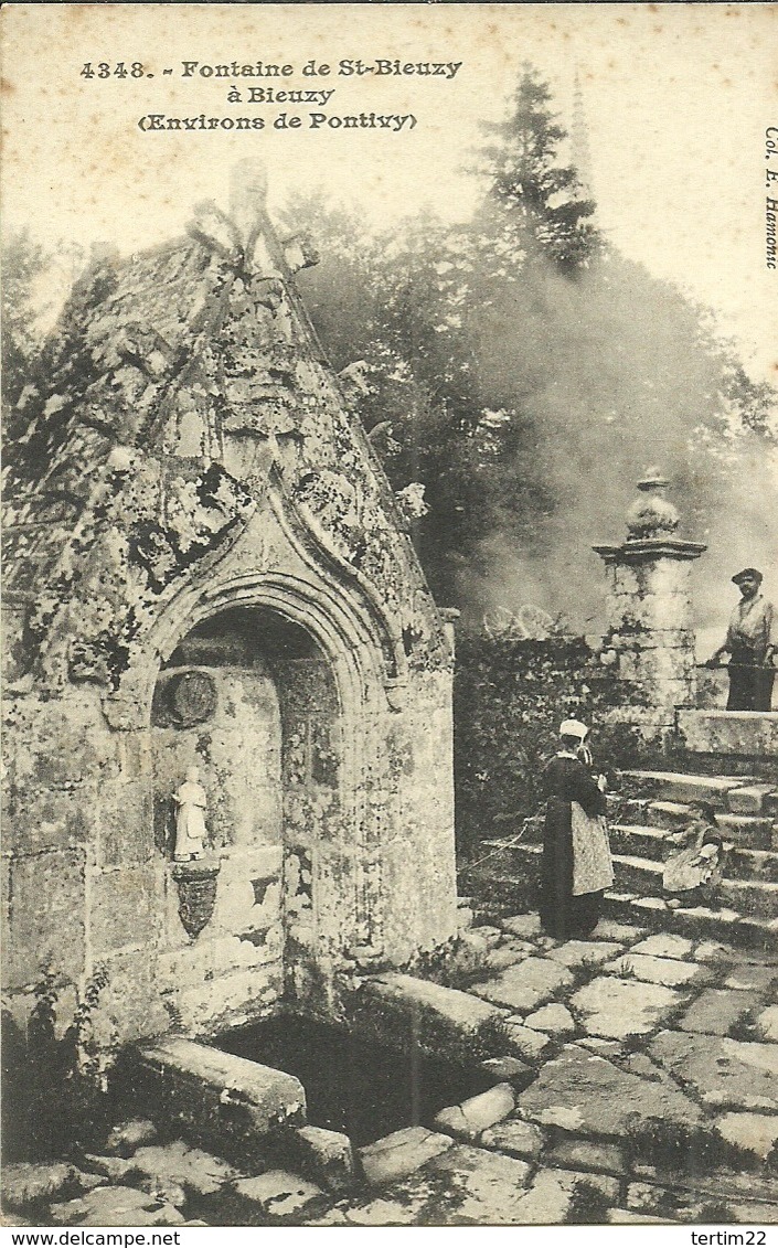 ( BIEUZY   ) ( 56 MORBIHAN ) ( FONTAINES ) FONTAINE DE ST BIEUZY ENVRONS DE PONTIVY - Autres & Non Classés