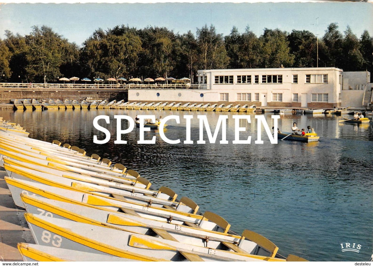 Rijksdomein Te Hofstade - Bootshuis-Roeien - Zemst