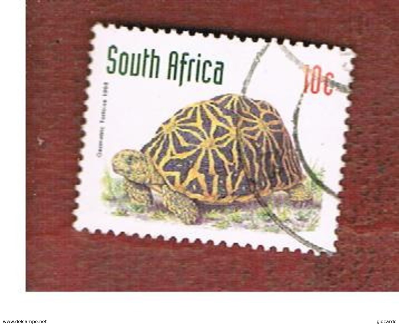 SUD AFRICA (SOUTH AFRICA) - SG 1013 - 1997 ENDANGERED ANIMALS: GEOMETRIC TORTOISE (DATED 1998)  - USED - Usati