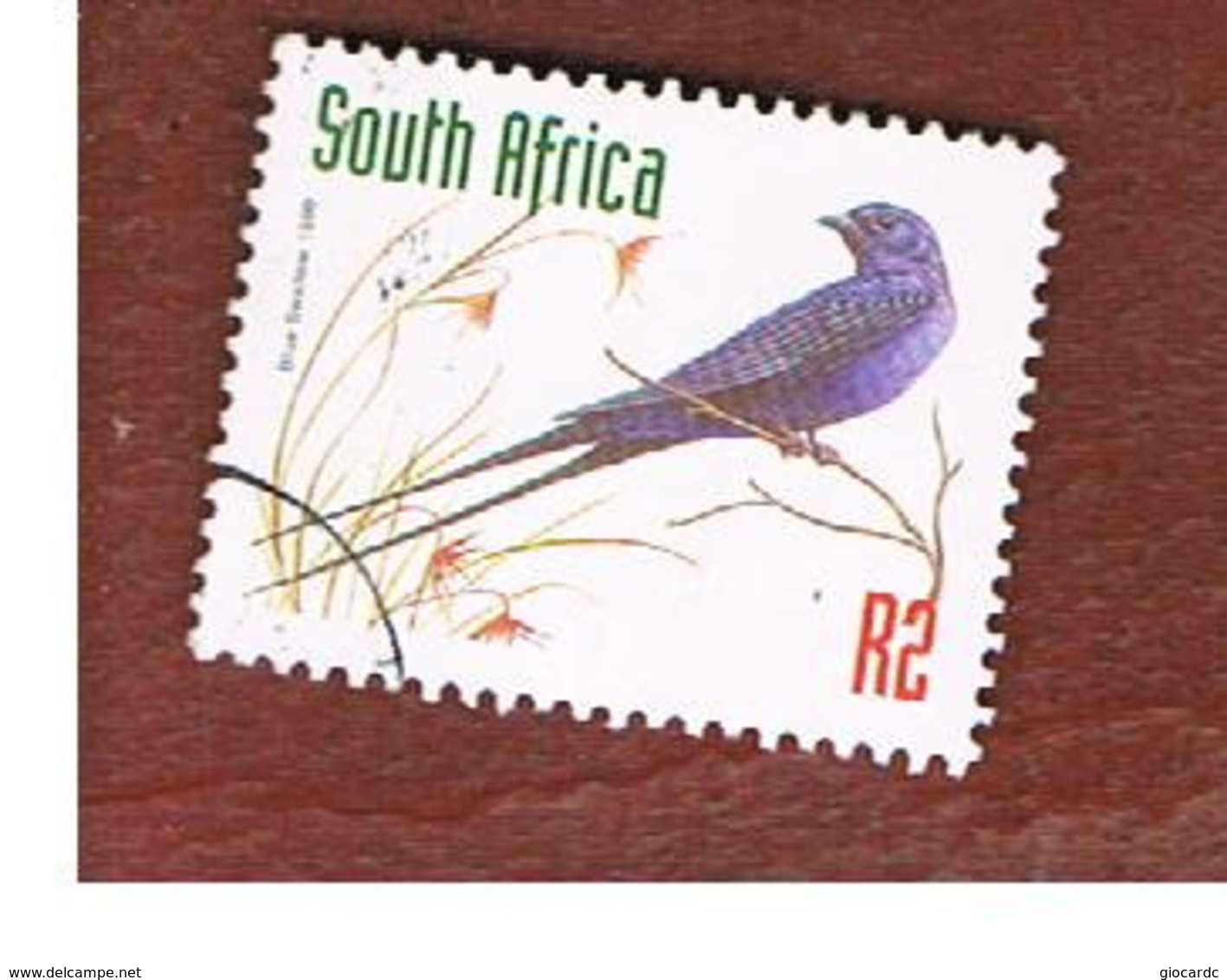 SUD AFRICA (SOUTH AFRICA) - SG 1027 - 1999 ENDANGERED ANIMALS: BLUE SWALLOW (DATED 1998) - USED - Usati