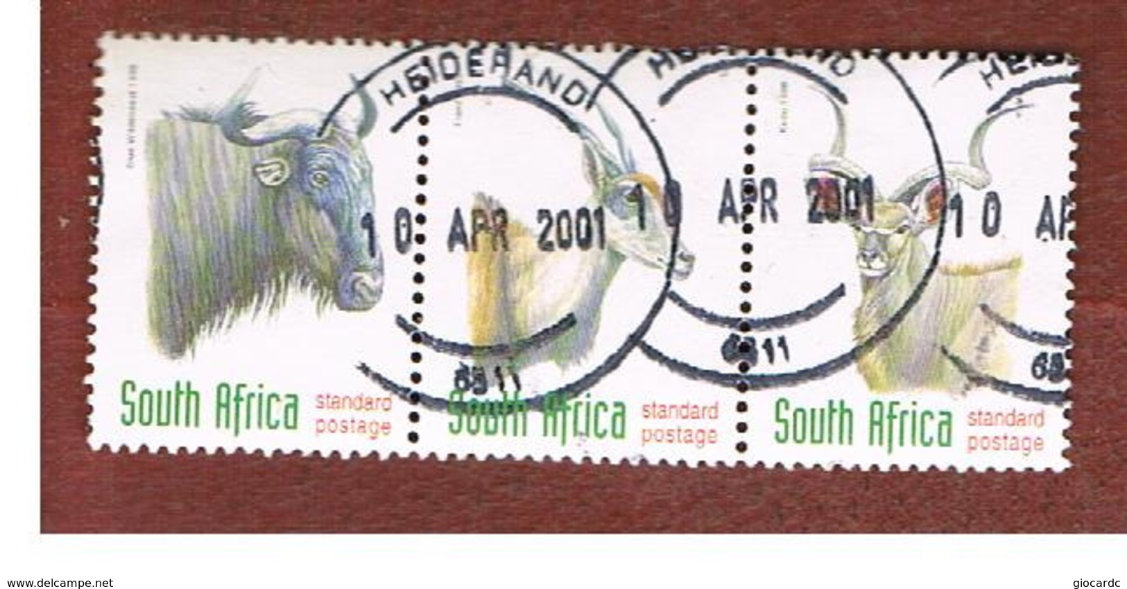 SUD AFRICA (SOUTH AFRICA) - SG 1030.1034 - 1998 ENDANGERED ANIMALS  (3 STAMPS SE-TENANT) - USED - Usati